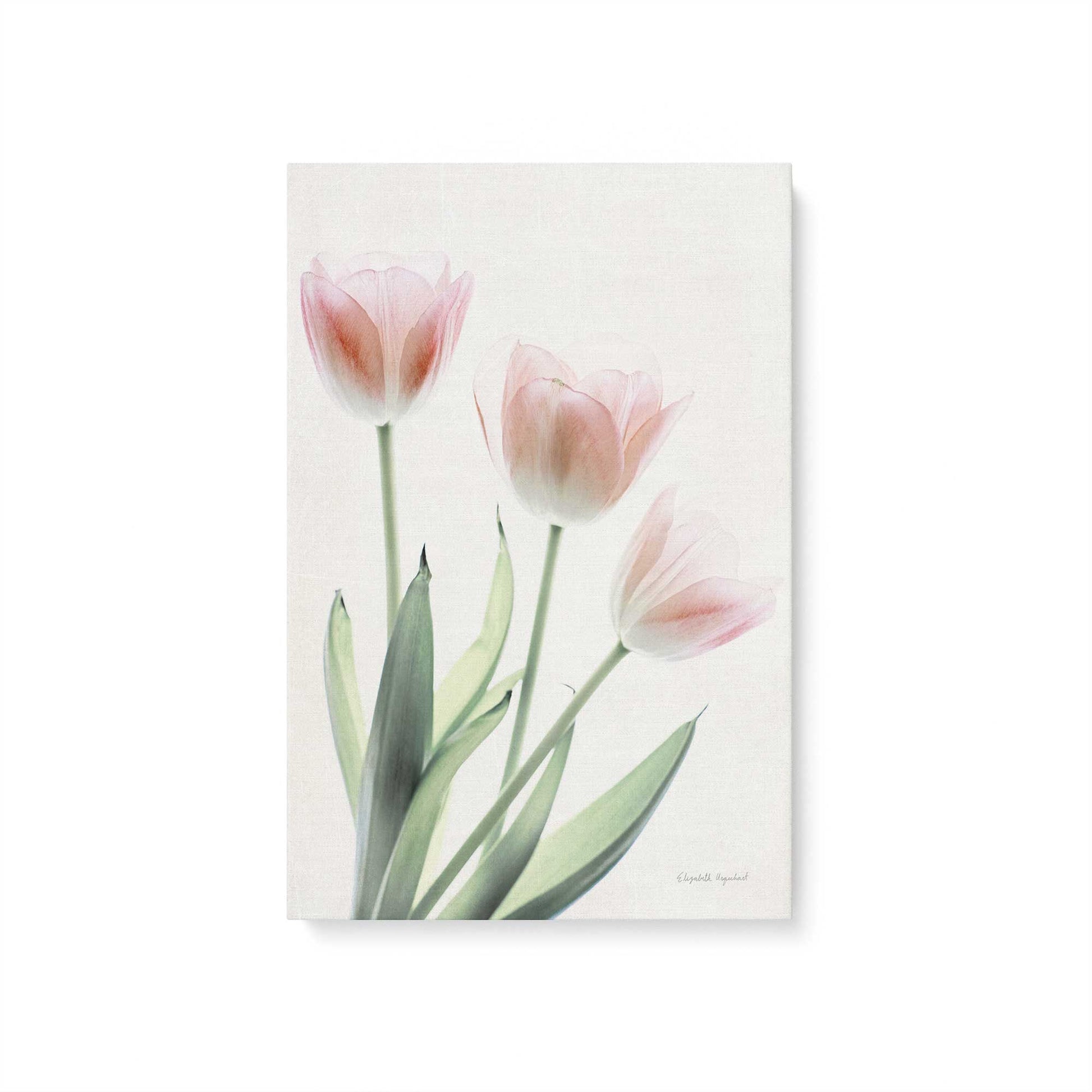 [Color:Stretched Canvas], Picture of art