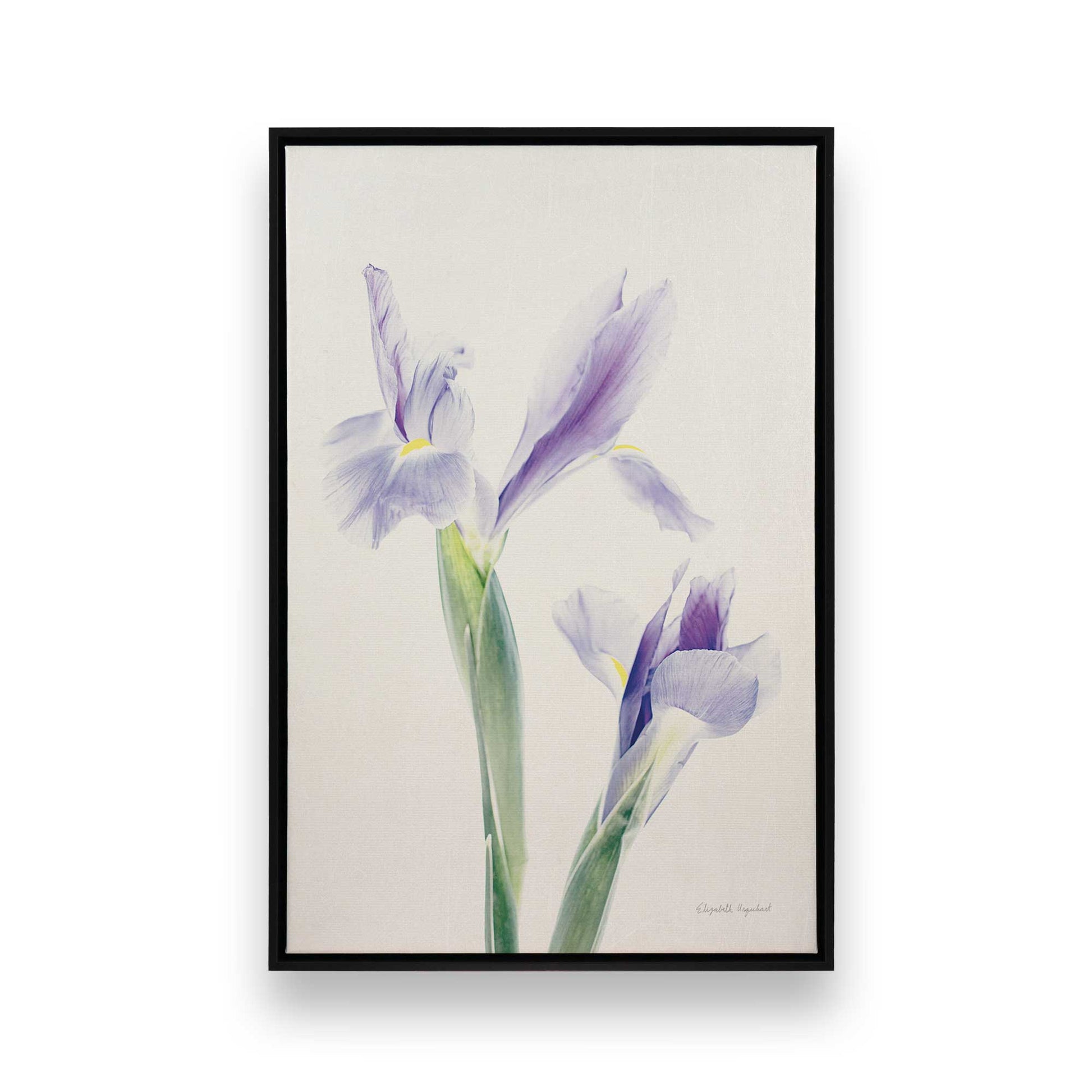 [Color:Satin Black], Picture of art in a Satin Black frame