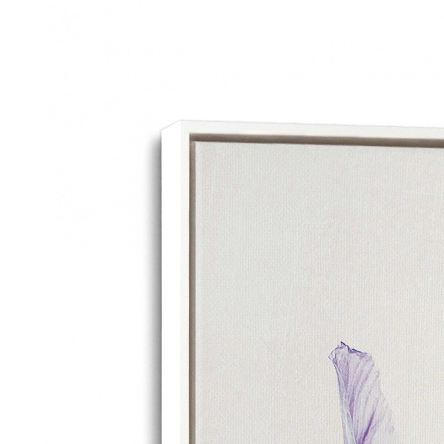 [Color:Opaque White], Picture of art in a White frame at an angle
