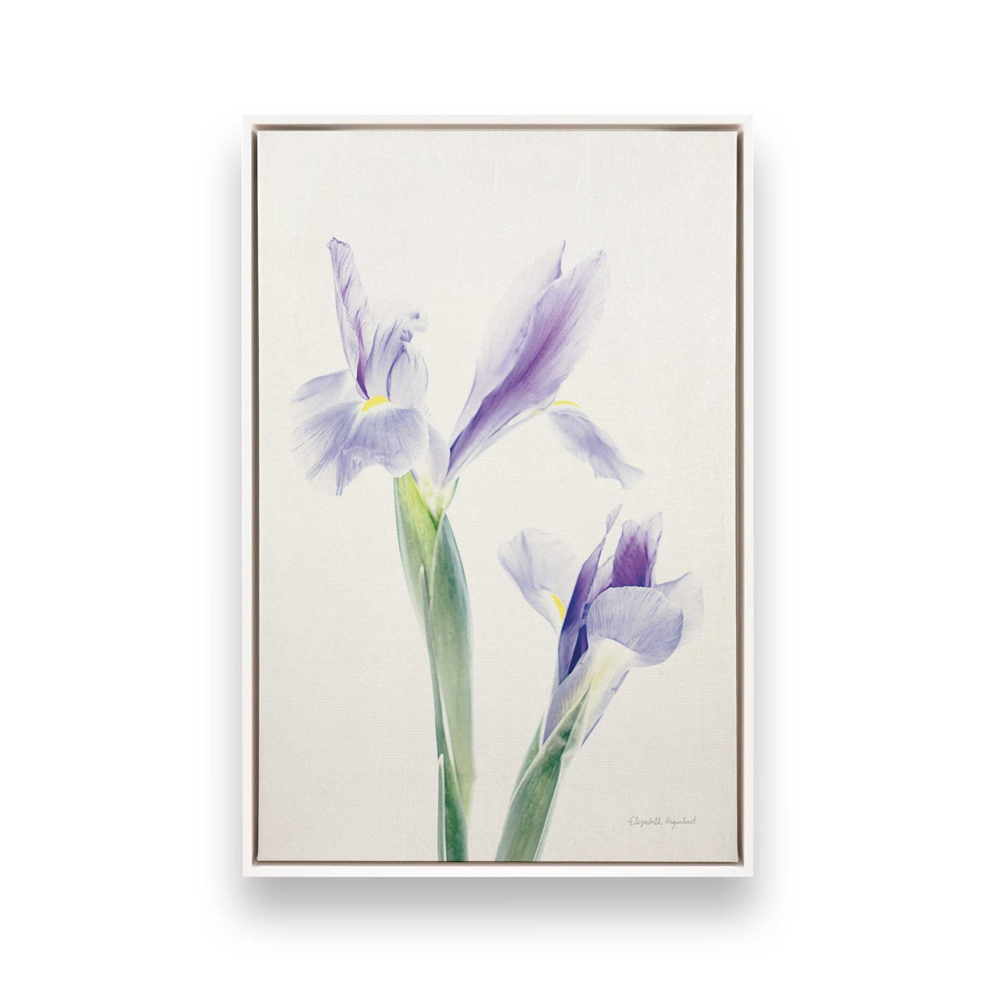 [Color:Opaque White], Picture of art in a White frame