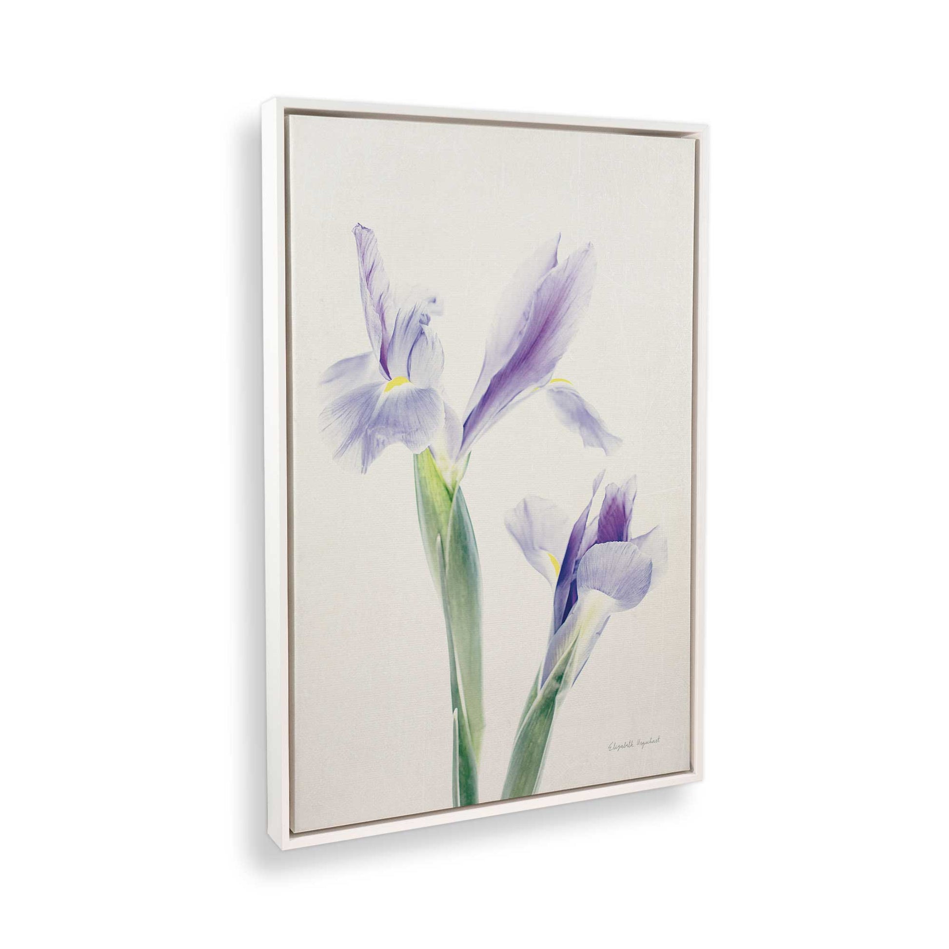 [Color:Opaque White], Picture of the corner of the art