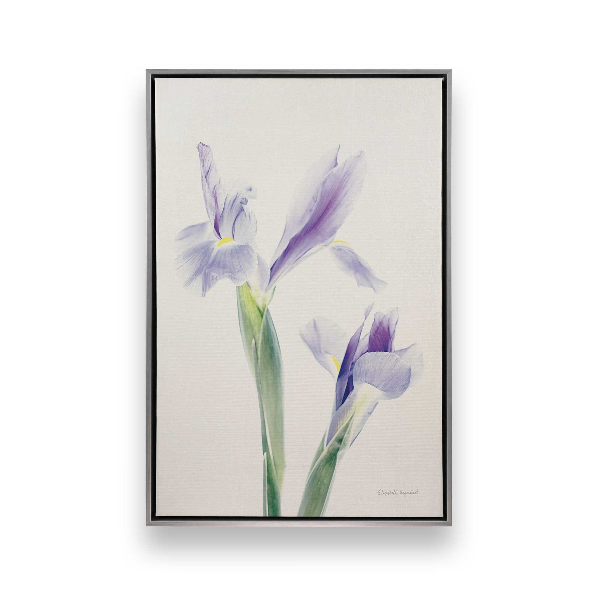 [Color:Polished Chrome], Picture of art in a Polished Chrome frame