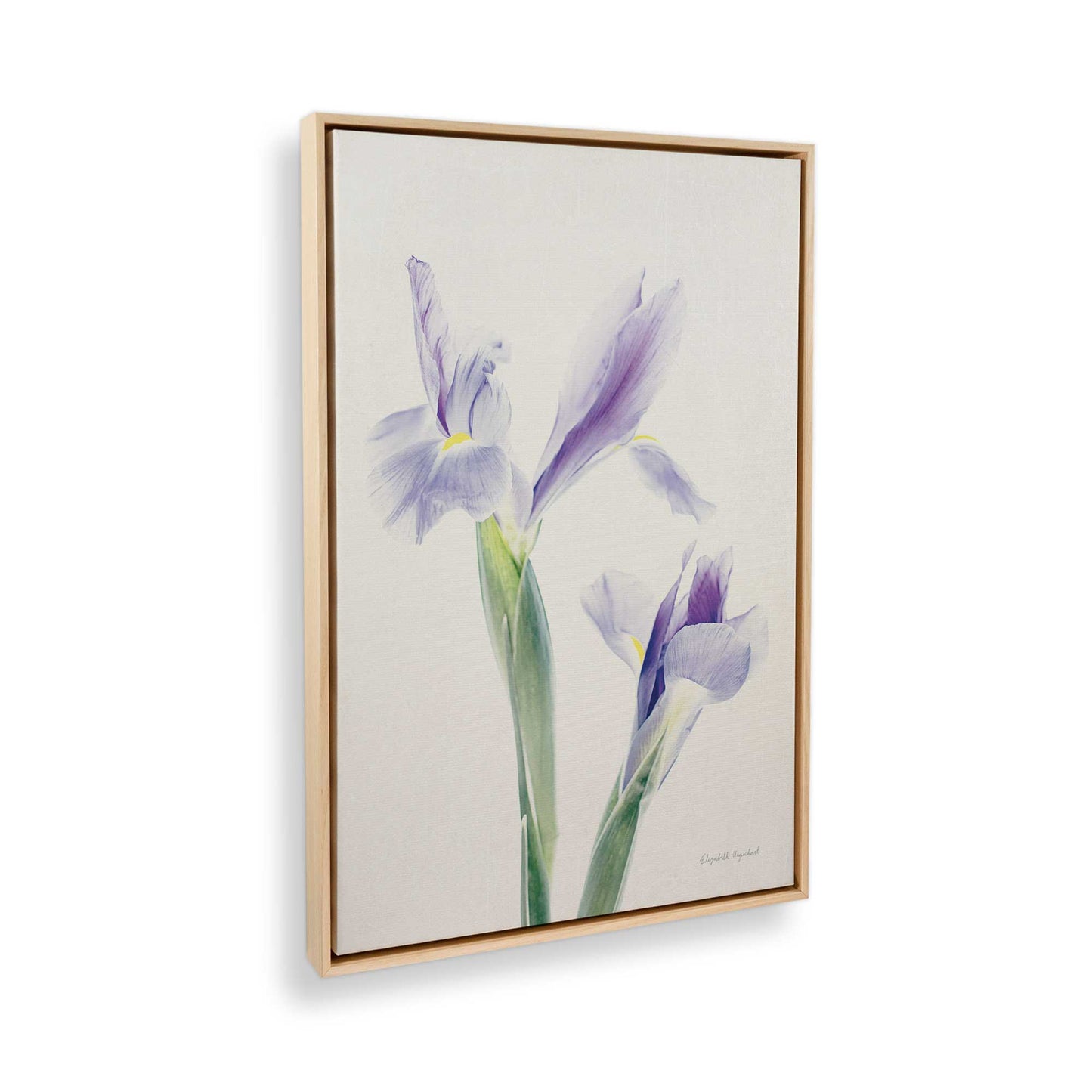 [Color:American Maple], Picture of the corner of the art