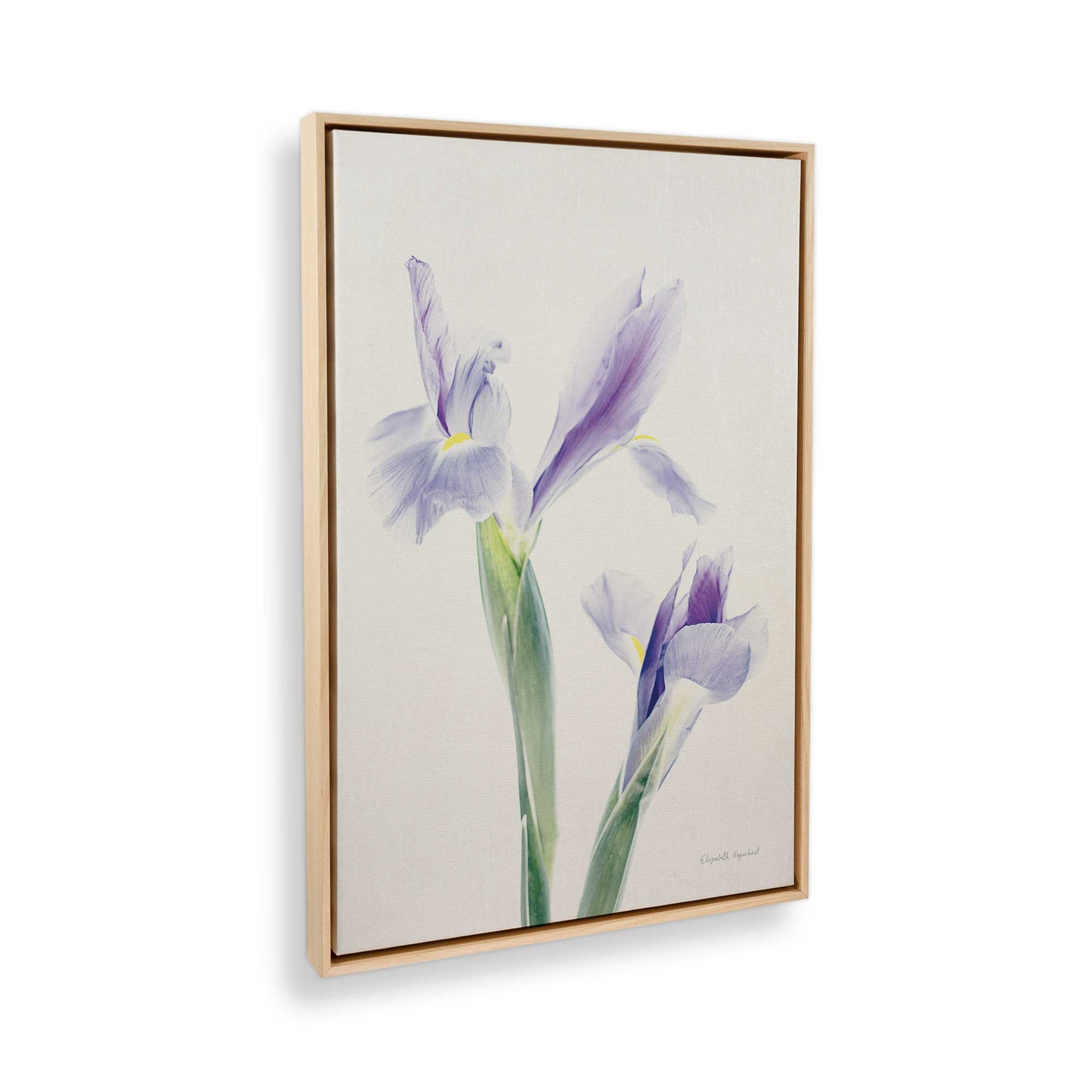 [Color:American Maple], Picture of the corner of the art