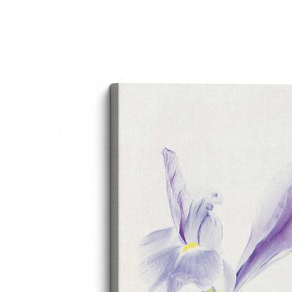 [Color:Stretched Canvas], Picture of the corner of the art