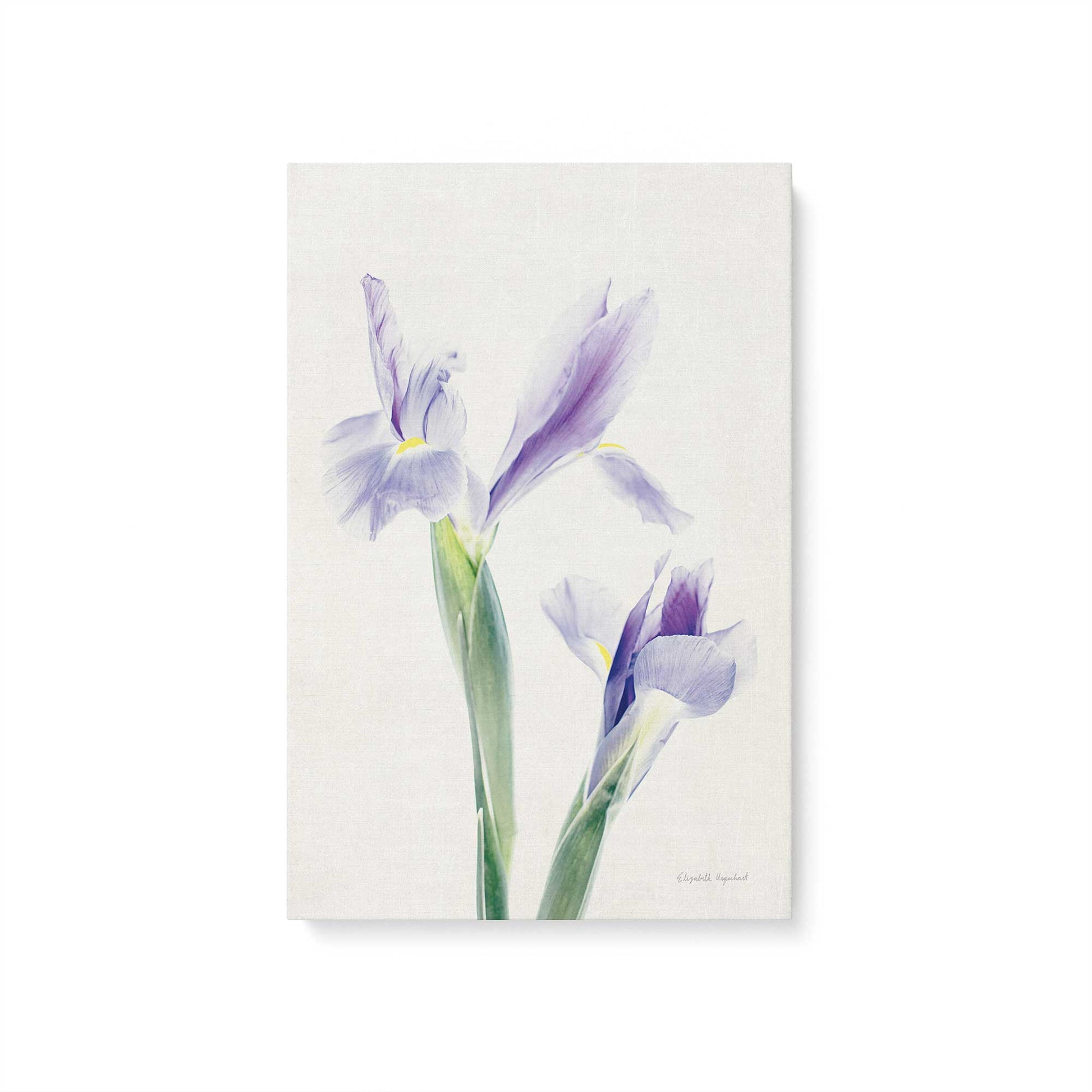 [Color:Stretched Canvas], Picture of art