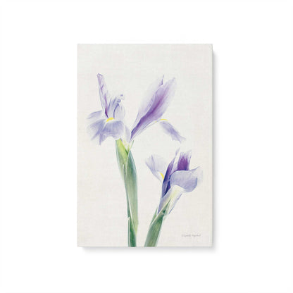 [Color:Stretched Canvas], Picture of art