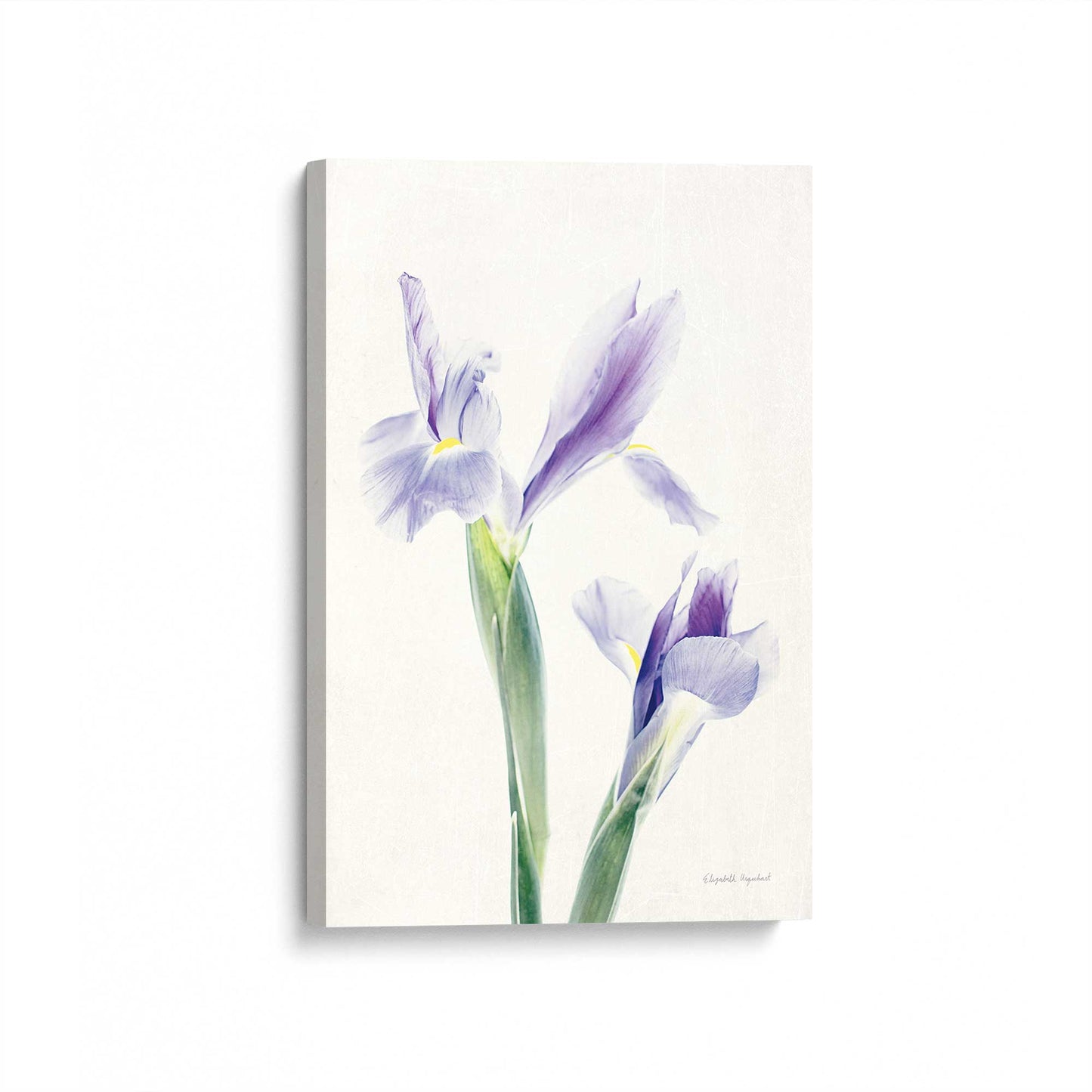 [Color:Stretched Canvas], Picture of art at an angle