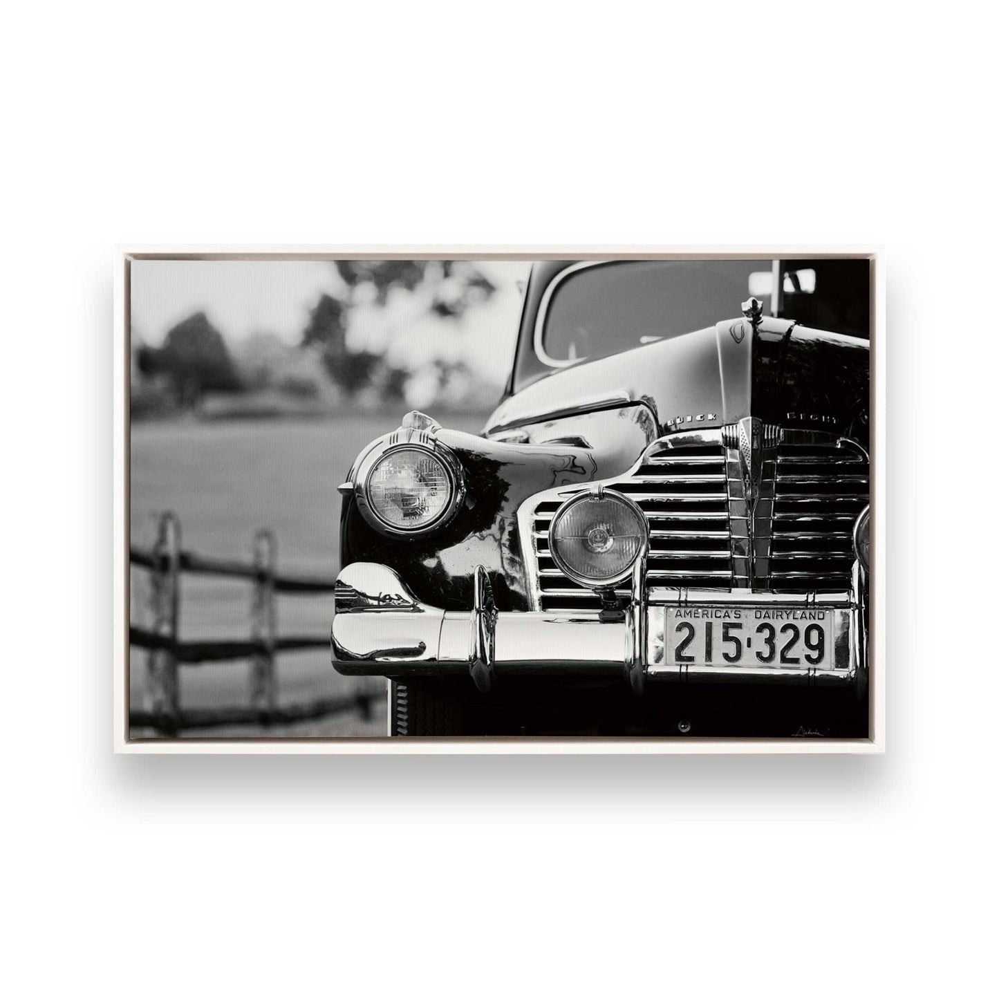 [Color:Opaque White], Picture of art in a White frame