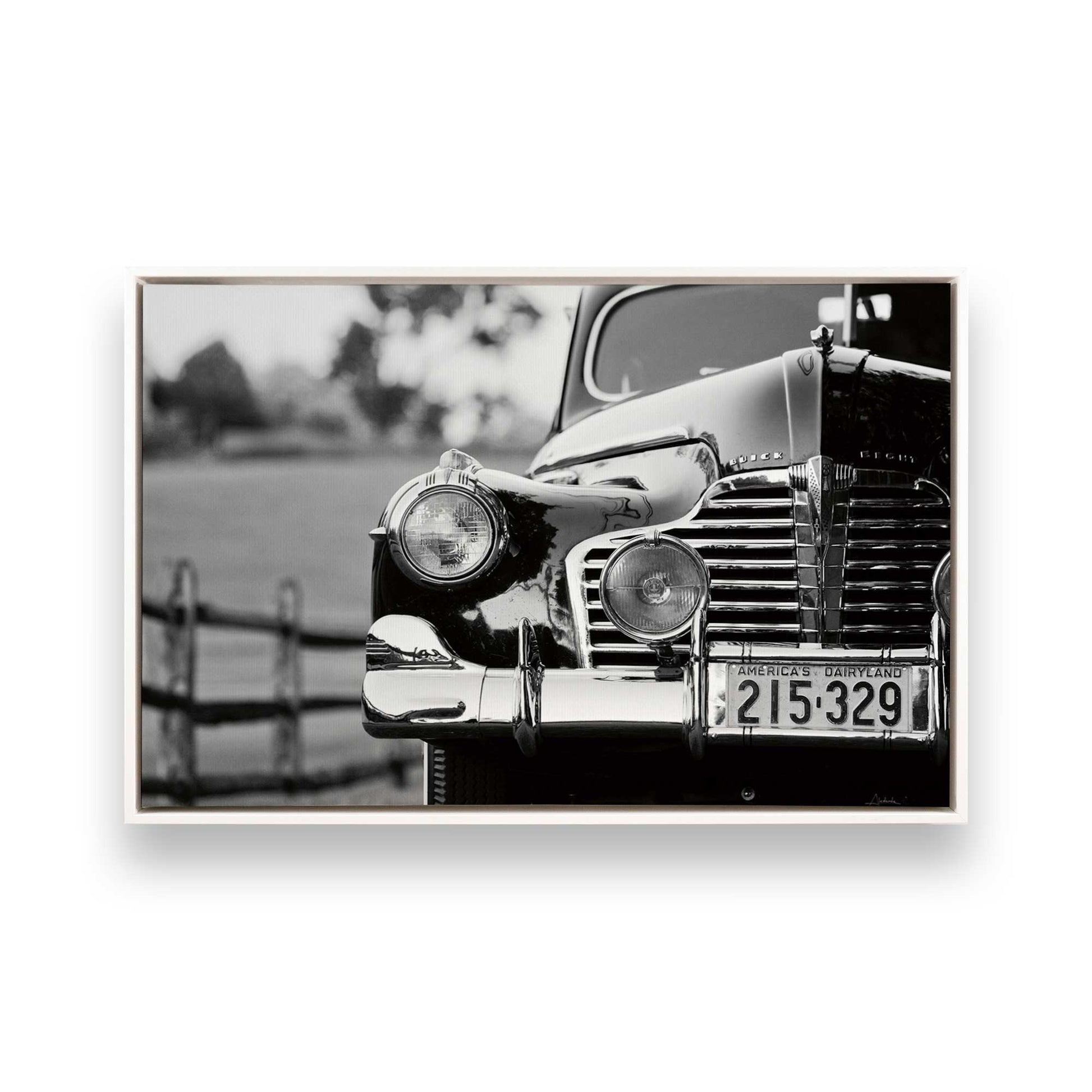[Color:Opaque White], Picture of art in a White frame