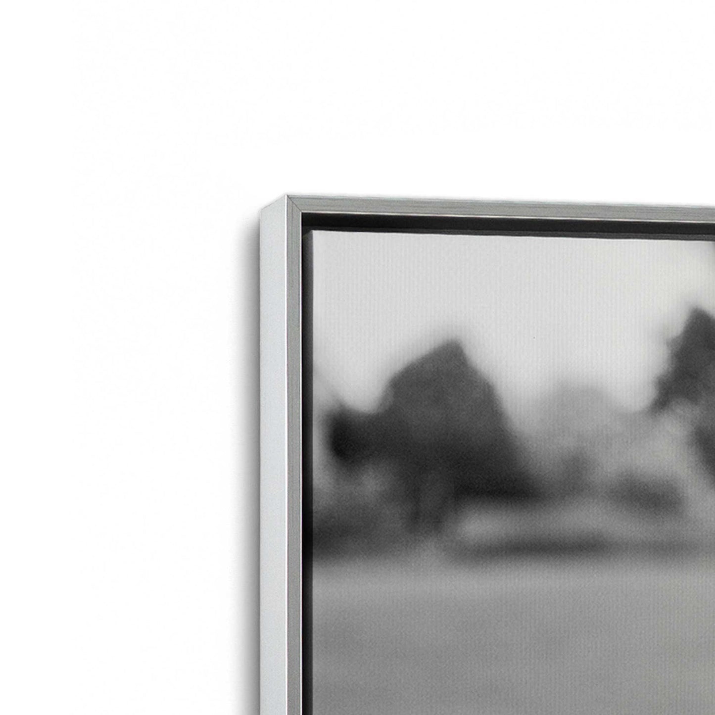 [Color:Polished Chrome], Picture of art in a Polished Chrome frame at an angle