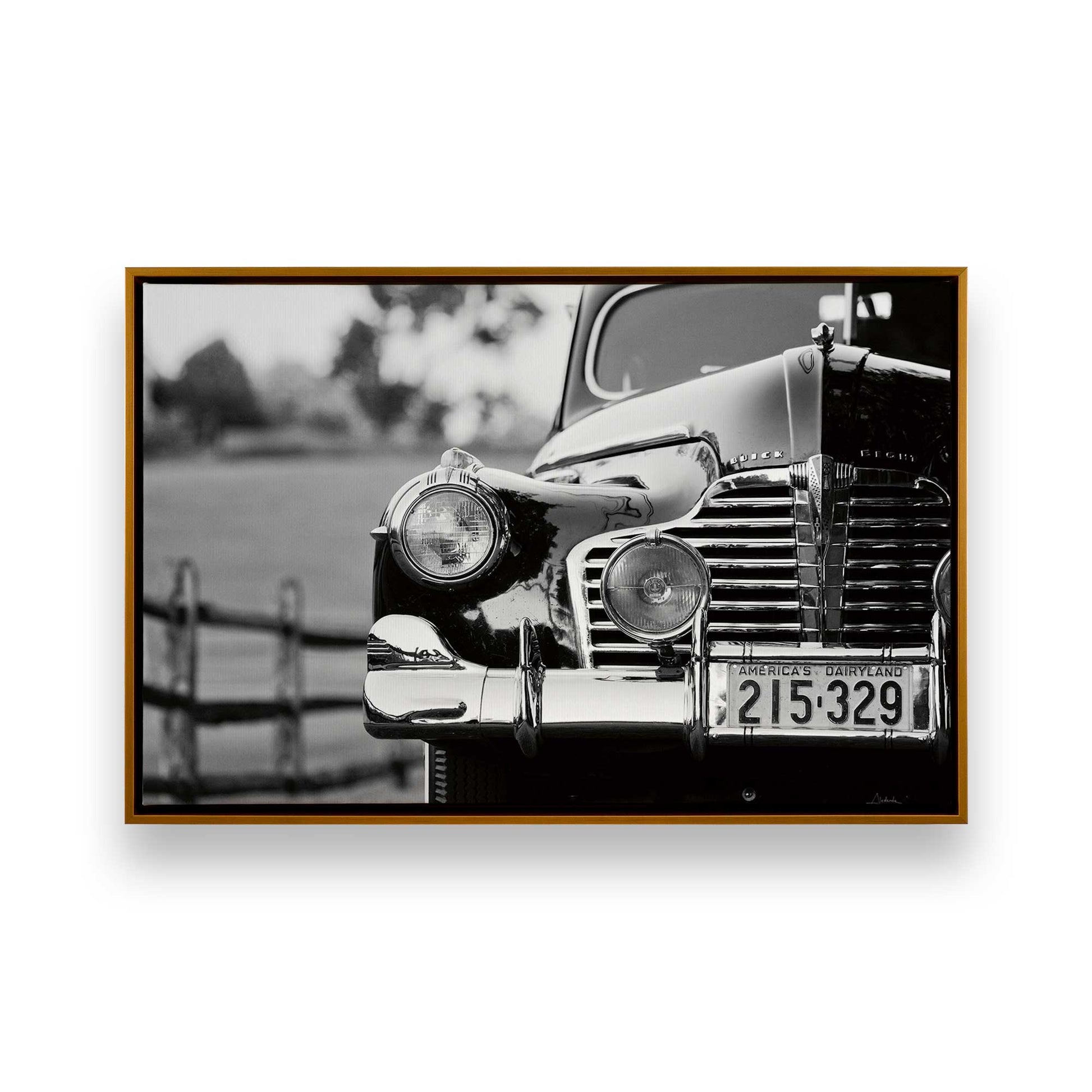 [Color:Polished Gold], Picture of art in a Polished Gold frame