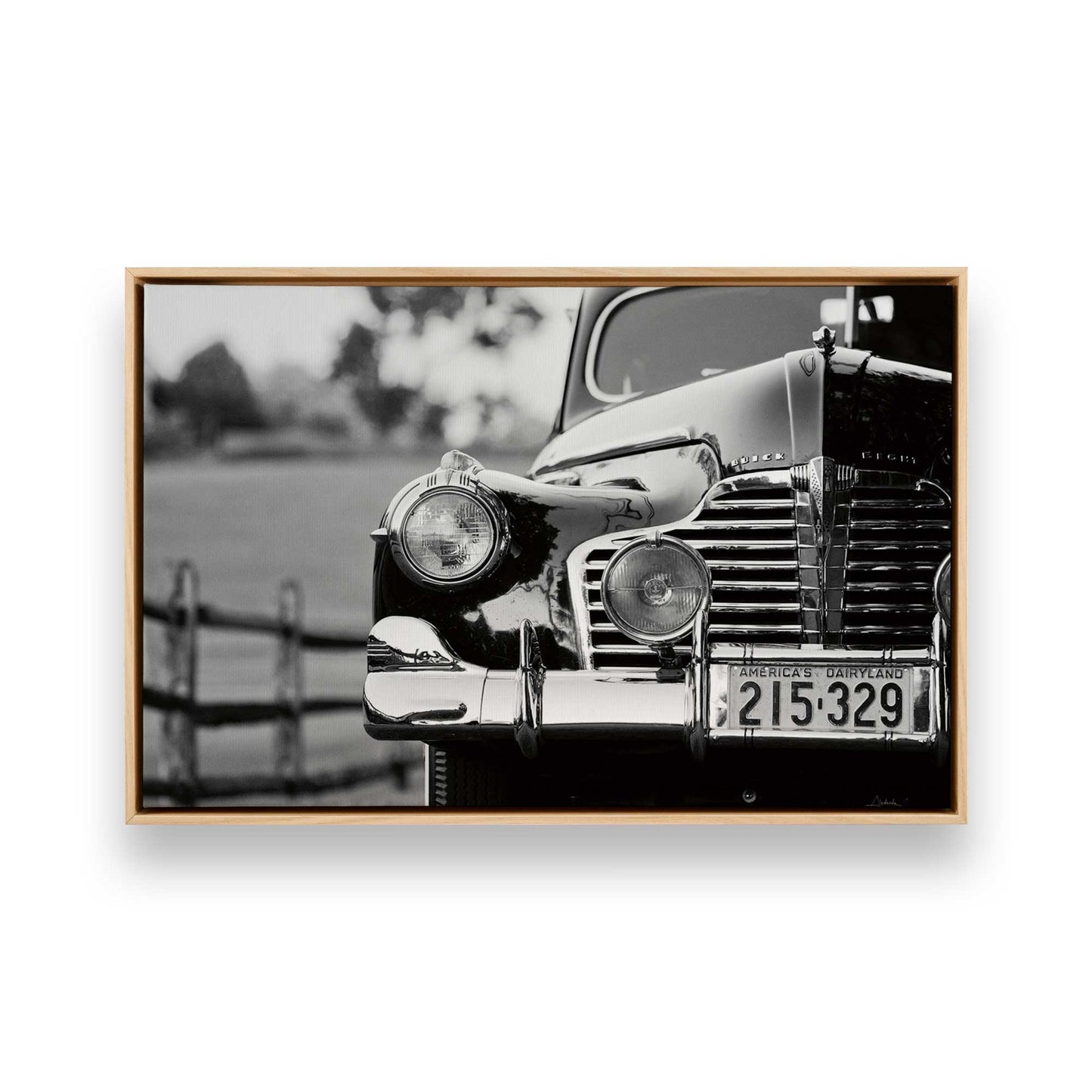 [Color:American Maple], Picture of art in a American Maple frame