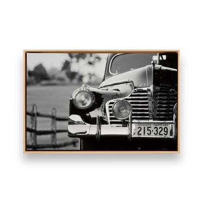 [Color:American Maple], Picture of art in a American Maple frame