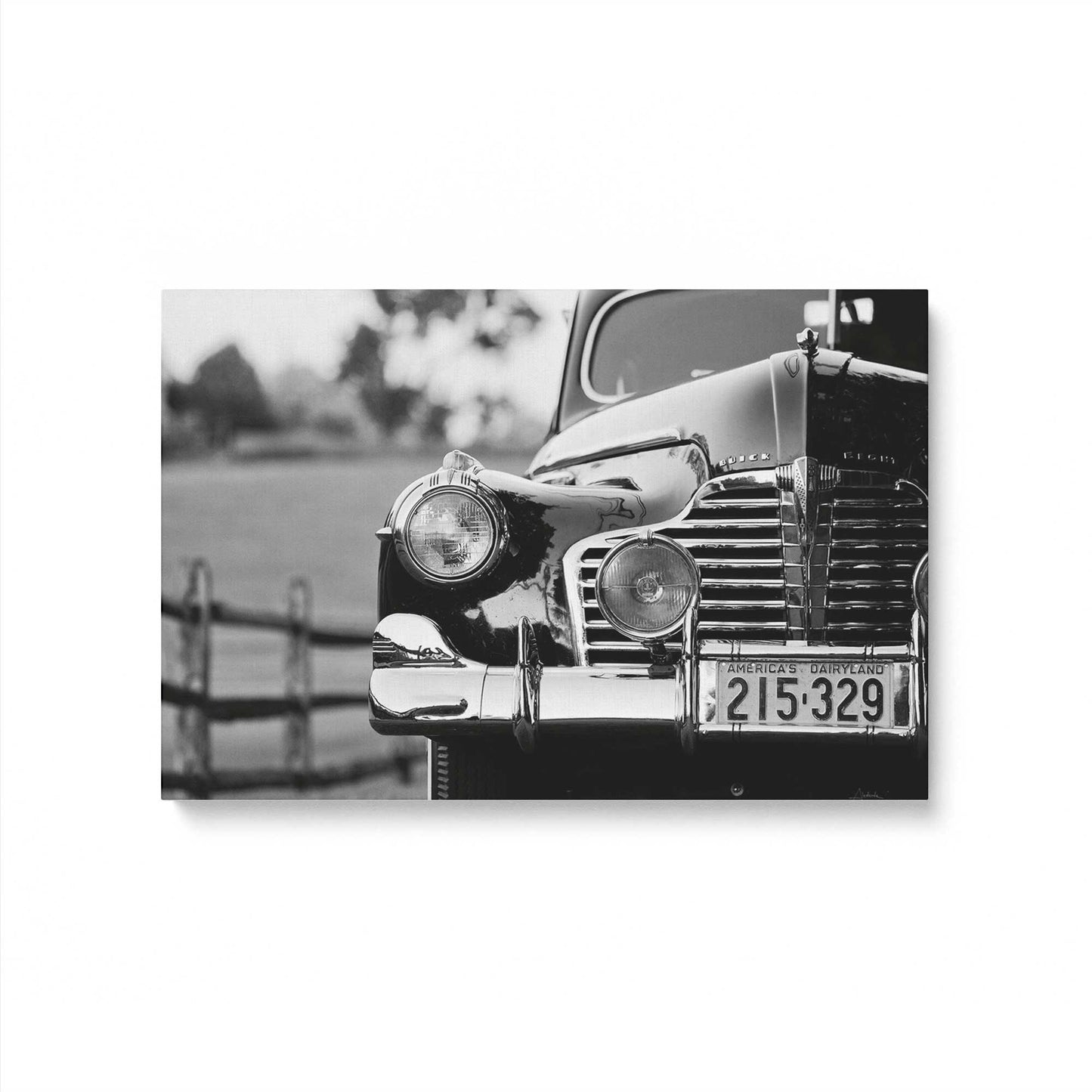 [Color:Stretched Canvas], Picture of art