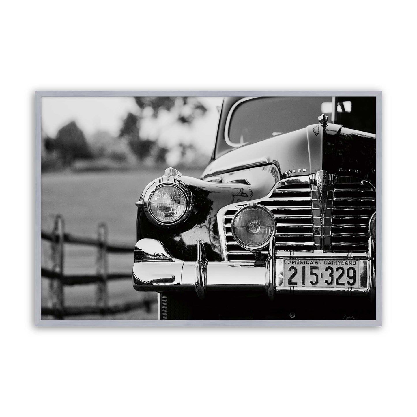 [Color:Polished Chrome], Picture of art in a Polished Chrome frame