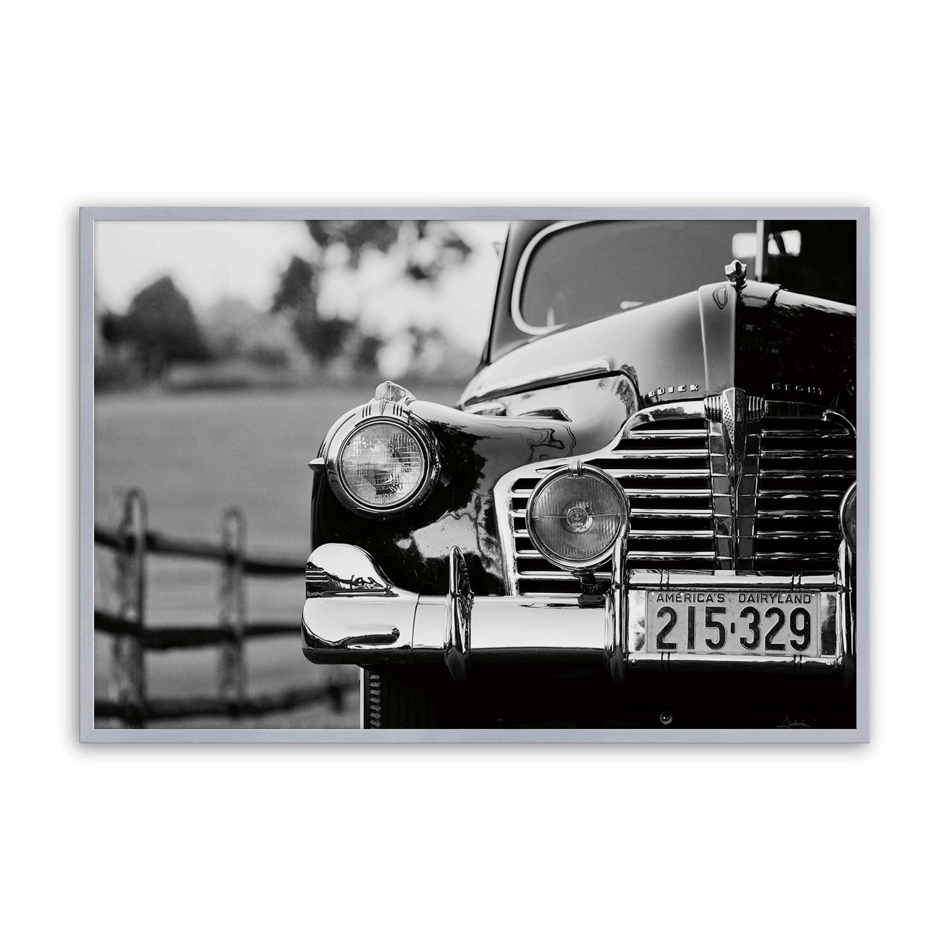 [Color:Polished Chrome], Picture of art in a Polished Chrome frame