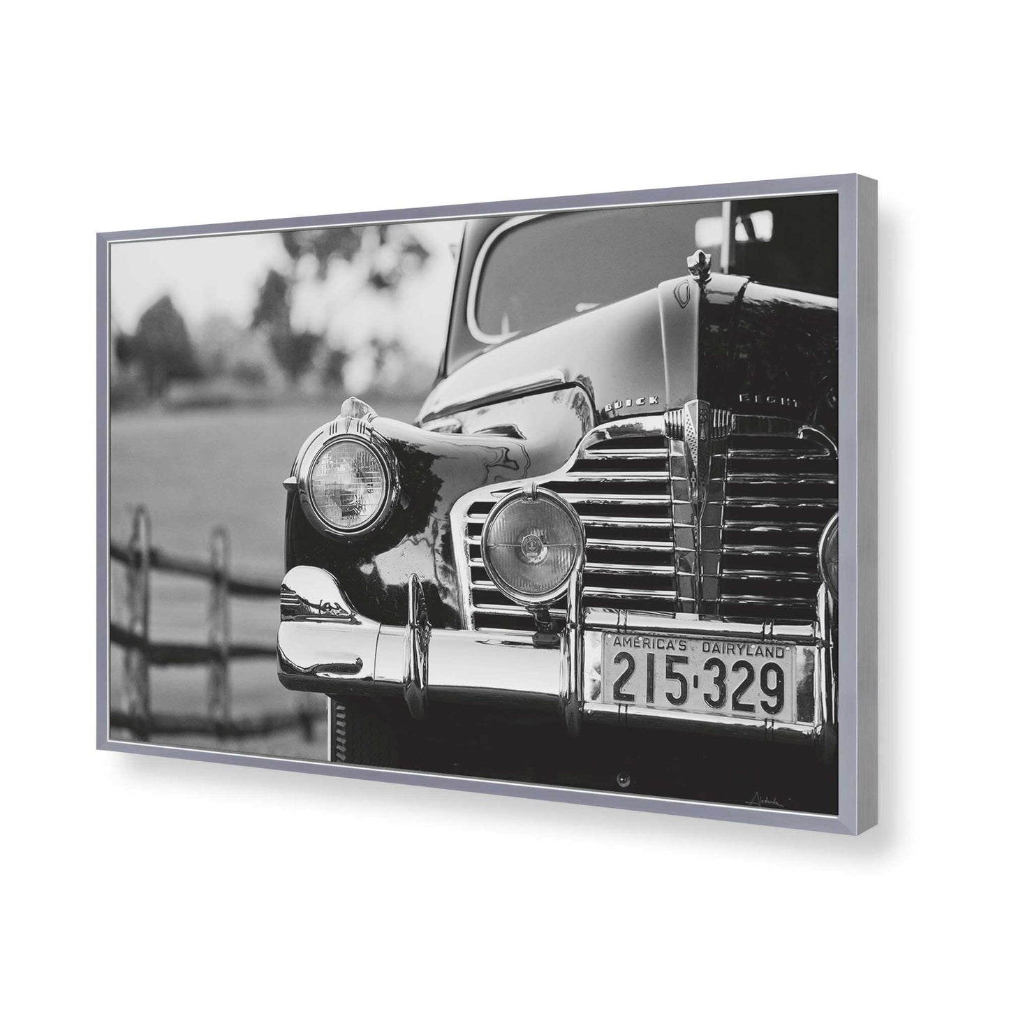 [Color:Polished Chrome], Picture of art in a Polished Chrome frame of the corner