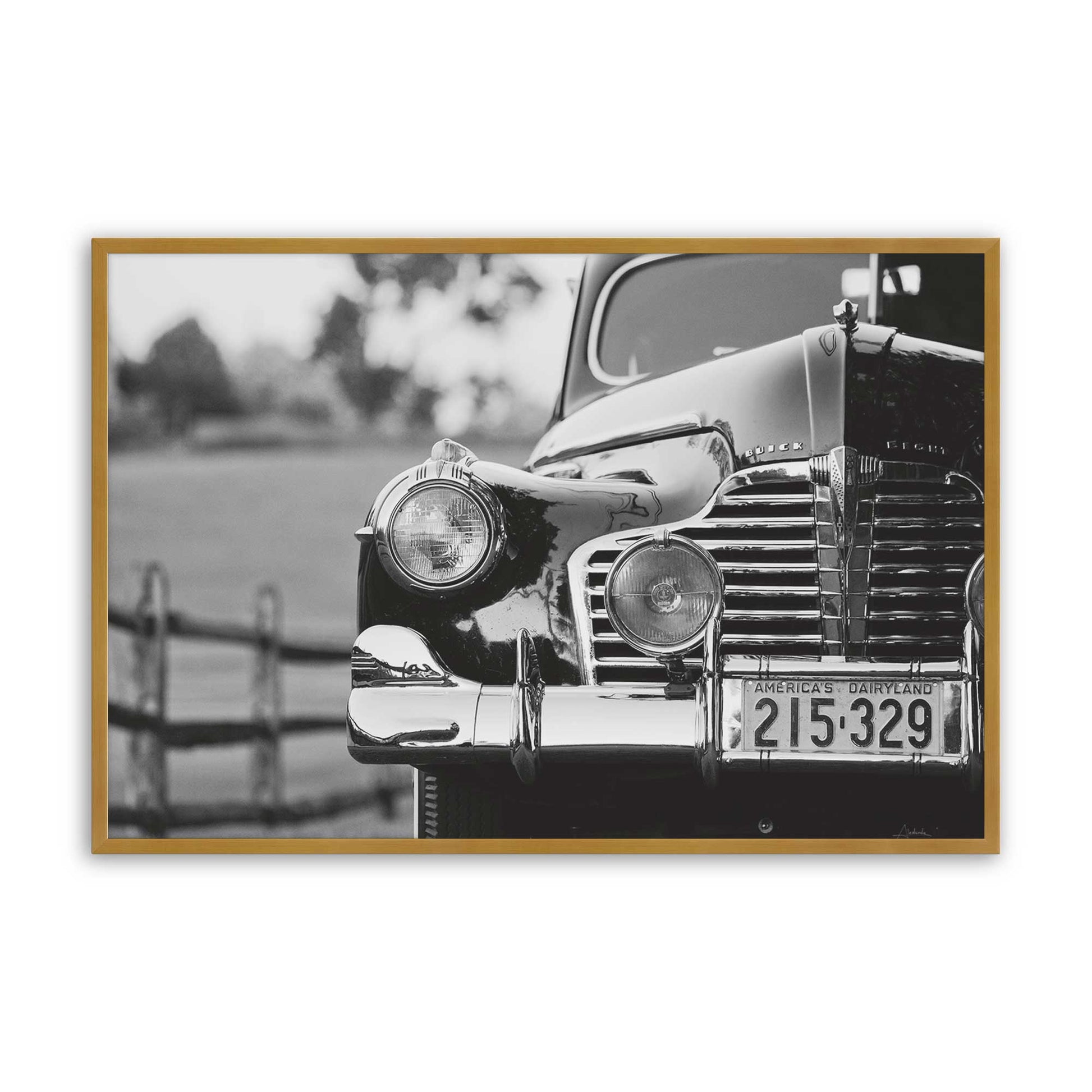[Color:Polished Gold], Picture of art in a Polished Gold frame