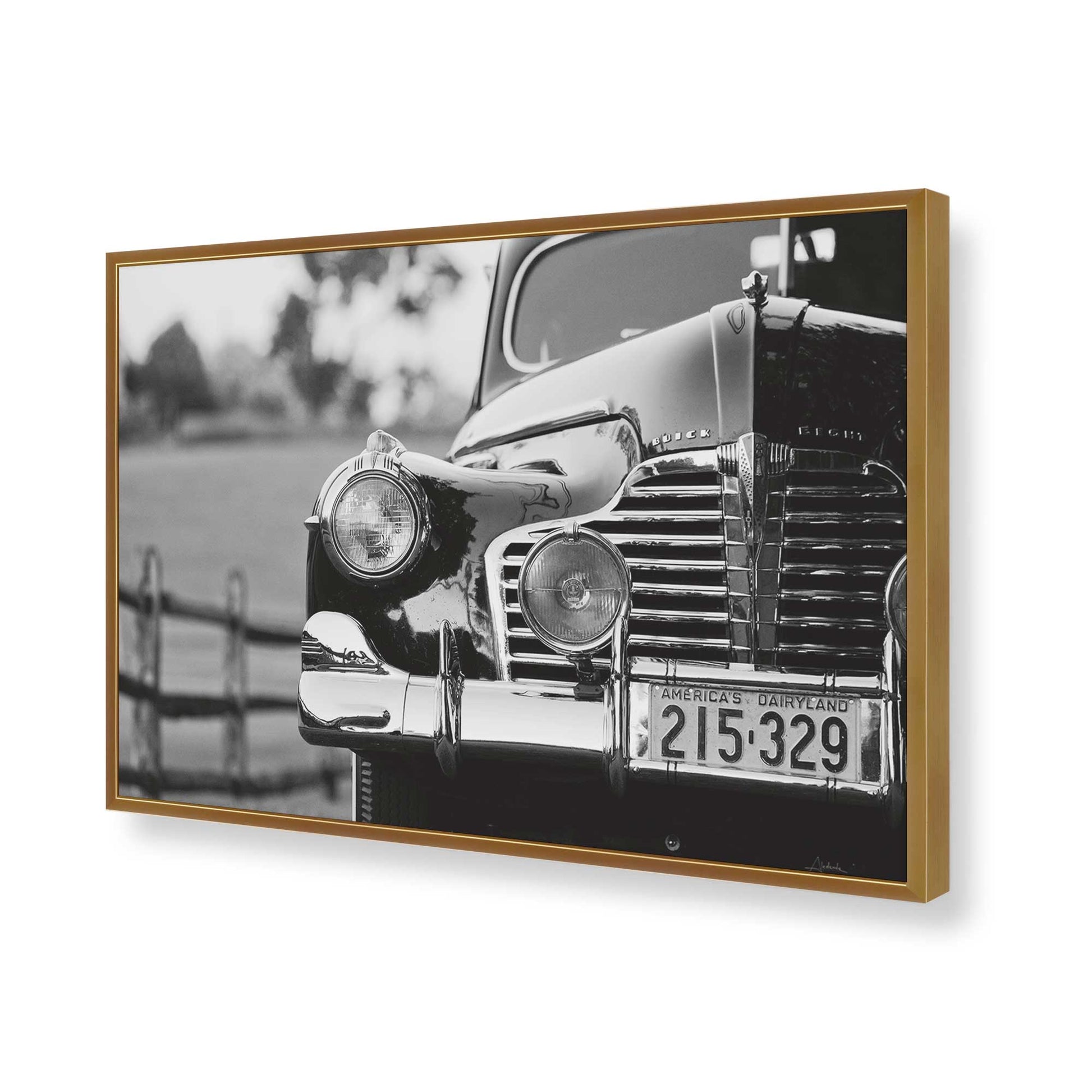 [Color:Polished Gold], Picture of art in a Polished Gold frame of the corner