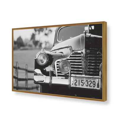 [Color:Polished Gold], Picture of art in a Polished Gold frame of the corner