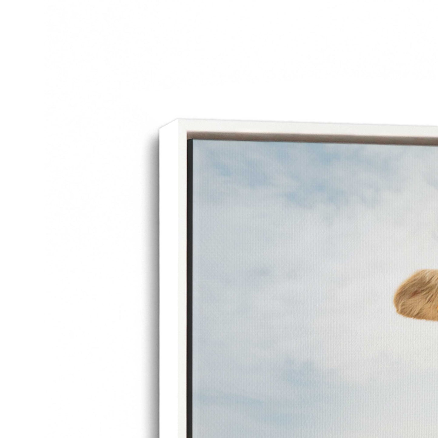 [Color:Opaque White], Picture of art in a White frame at an angle