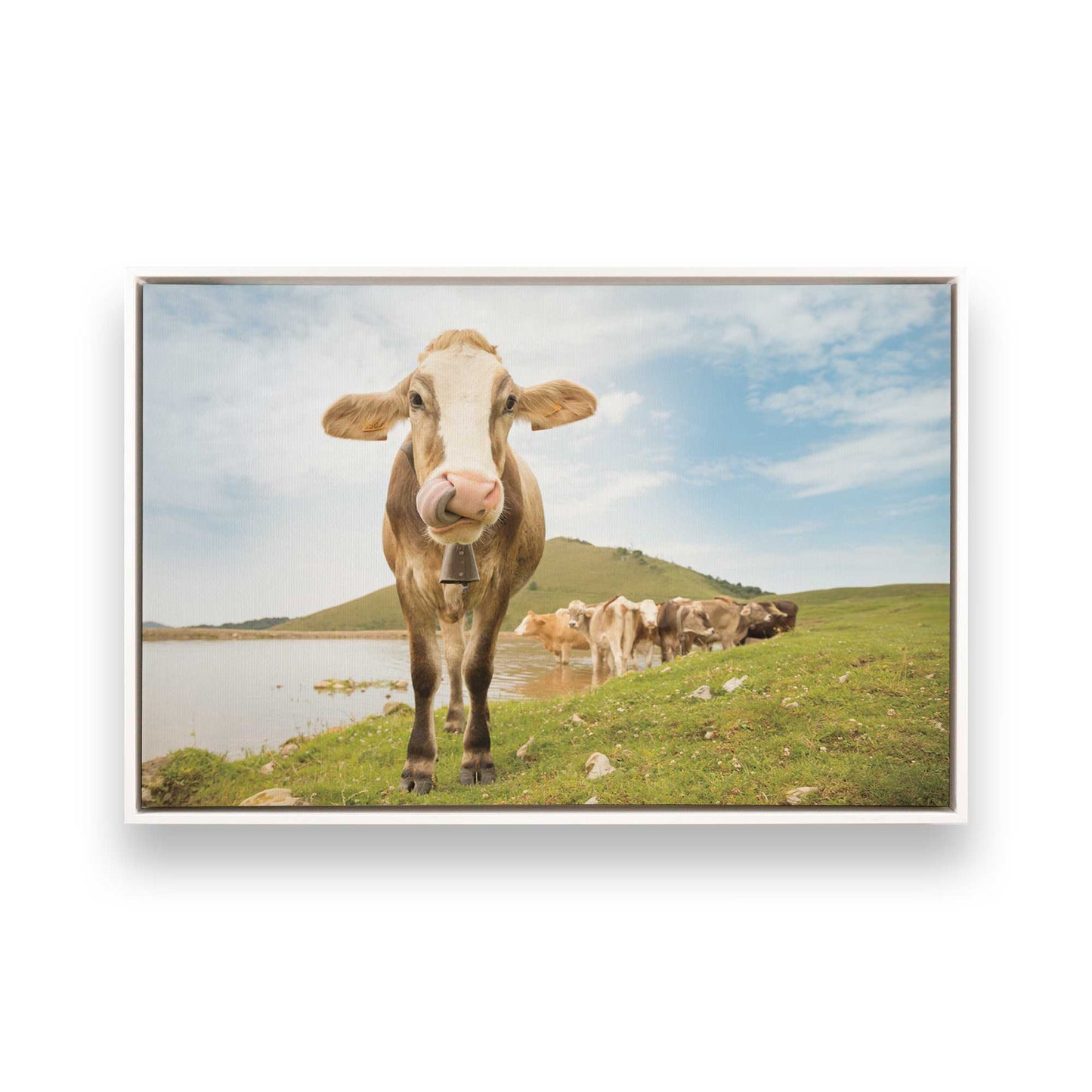 [Color:Opaque White], Picture of art in a White frame