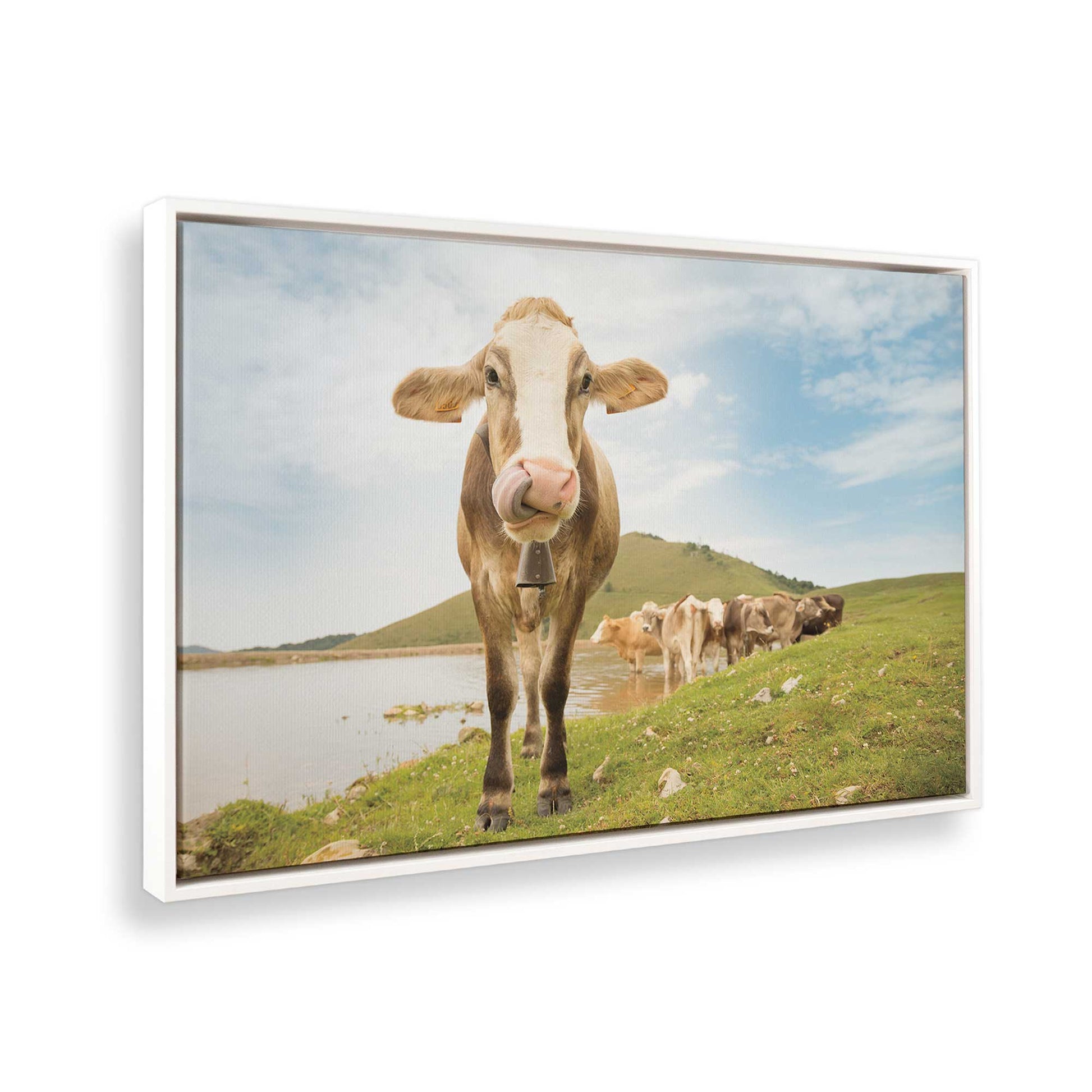 [Color:Opaque White], Picture of the corner of the art