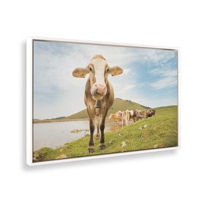 [Color:Opaque White], Picture of the corner of the art