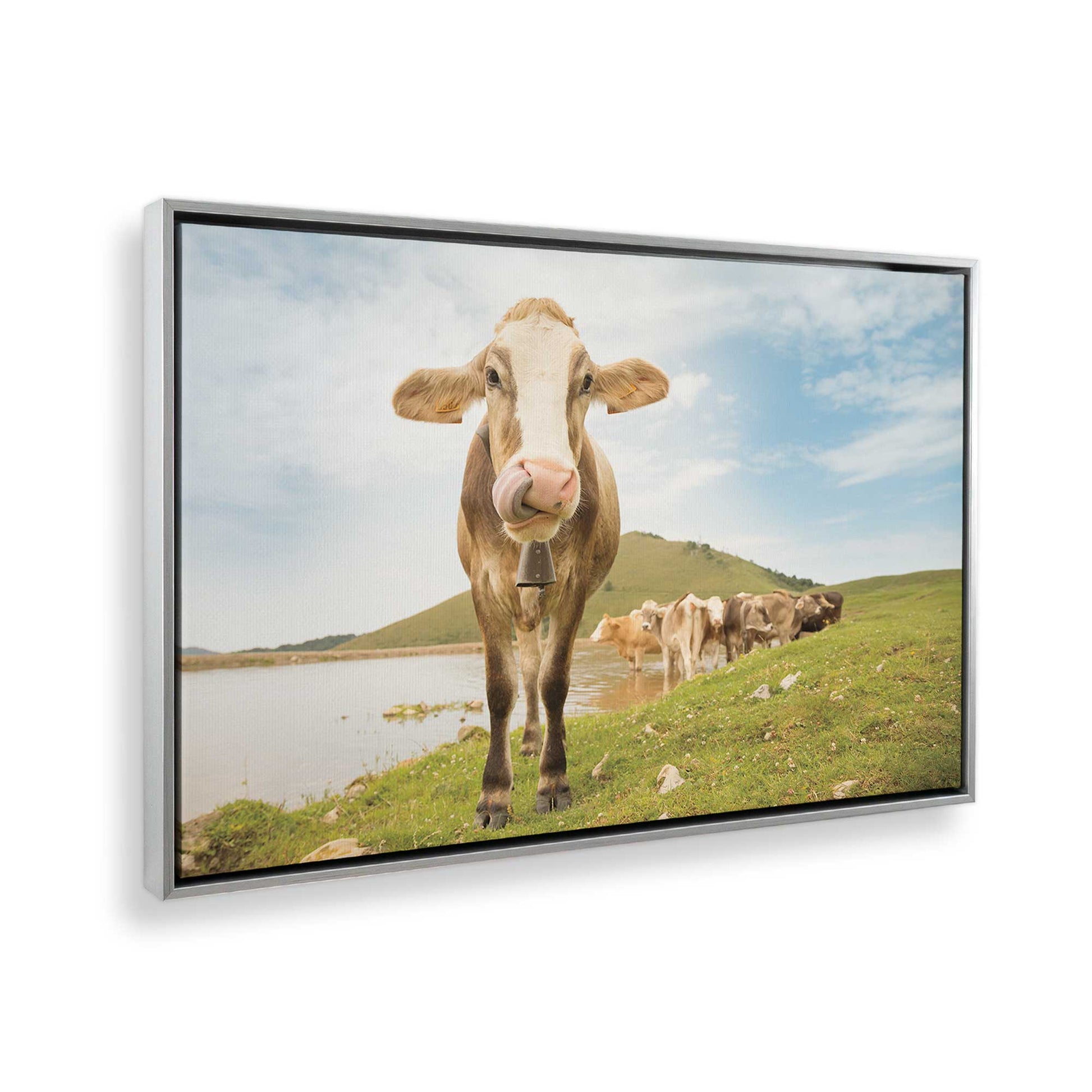 [Color:Polished Chrome], Picture of the corner of the art