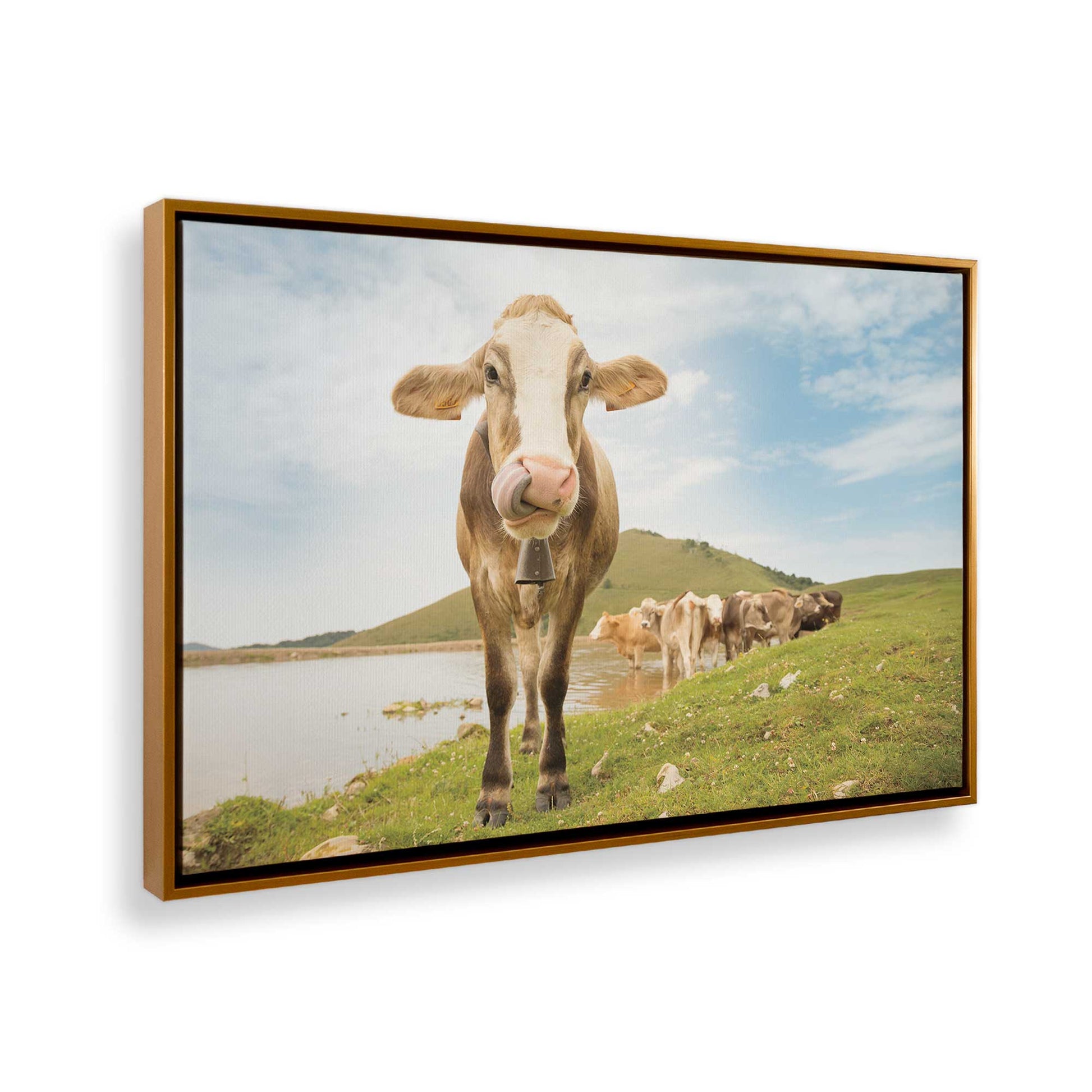 [Color:Polished Gold], Picture of the corner of the art