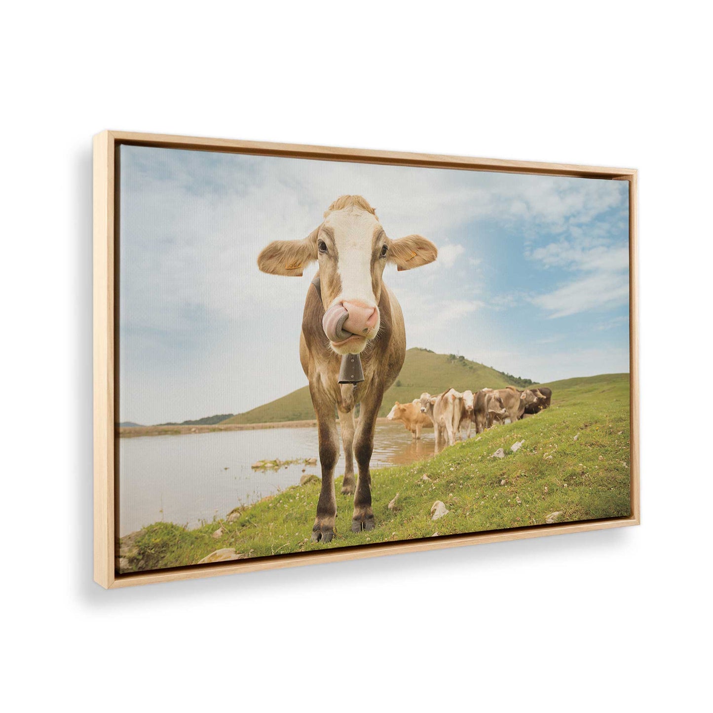 [Color:American Maple], Picture of the corner of the art