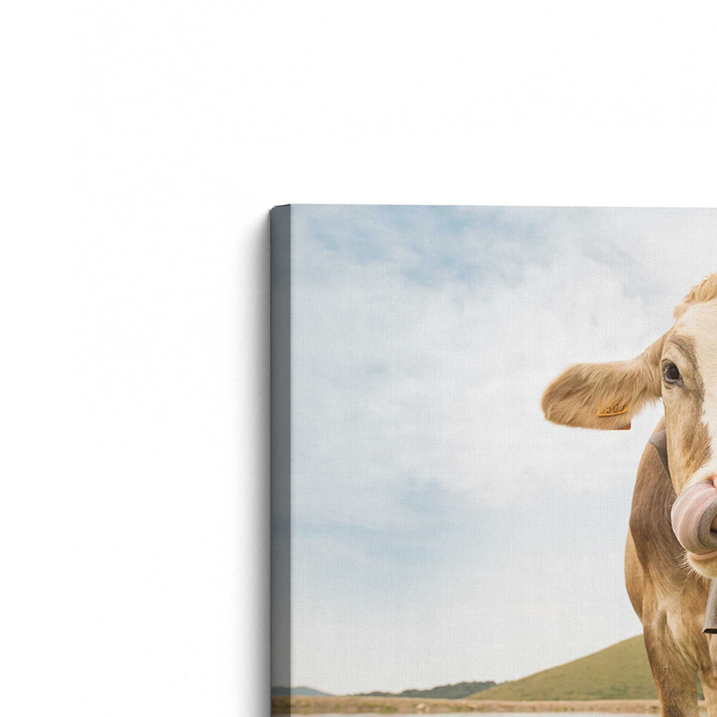 [Color:Stretched Canvas], Picture of the corner of the art