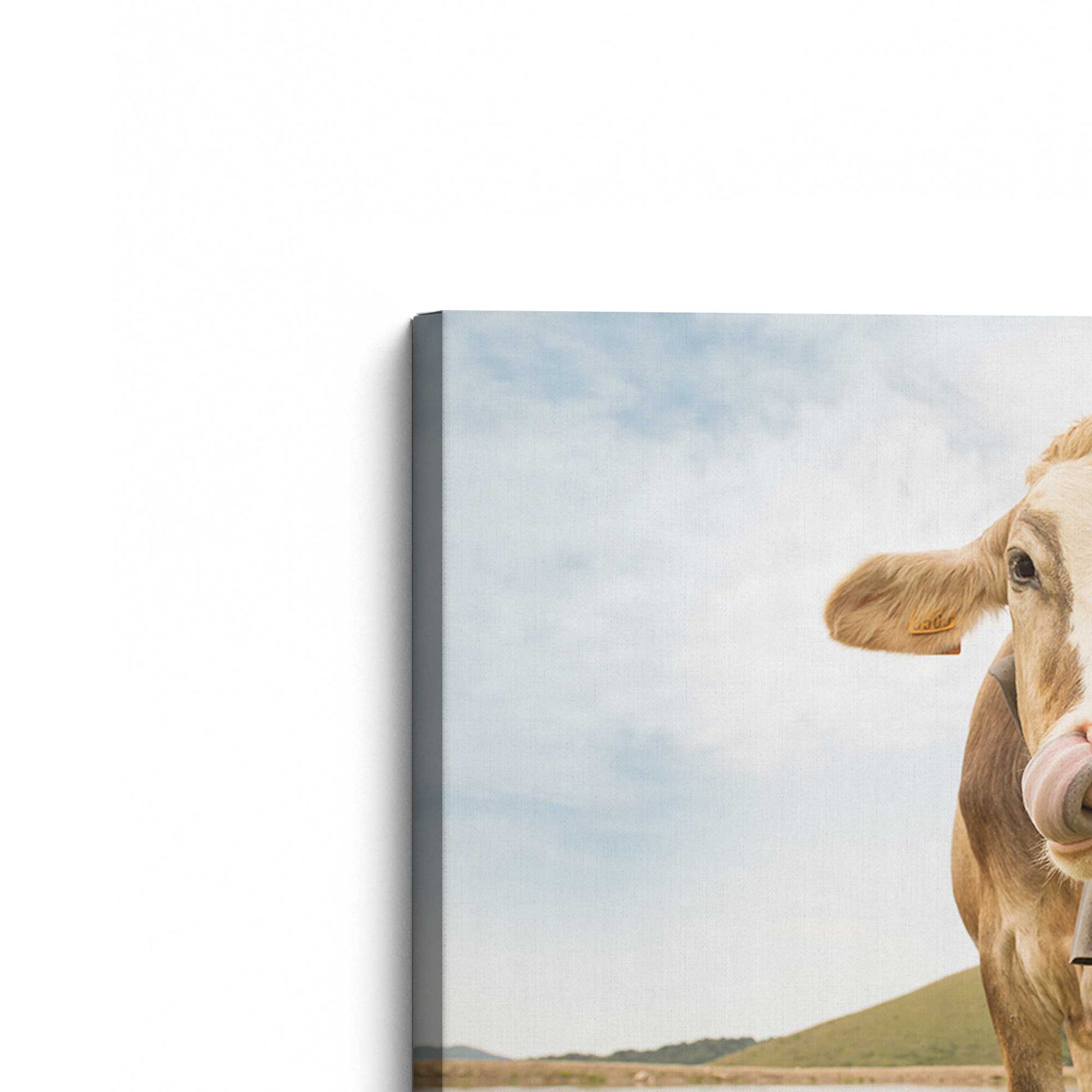 [Color:Stretched Canvas], Picture of the corner of the art