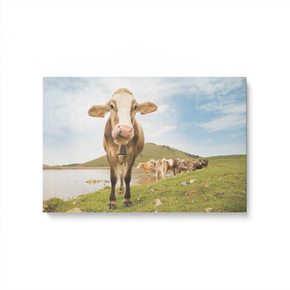 [Color:Stretched Canvas], Picture of art