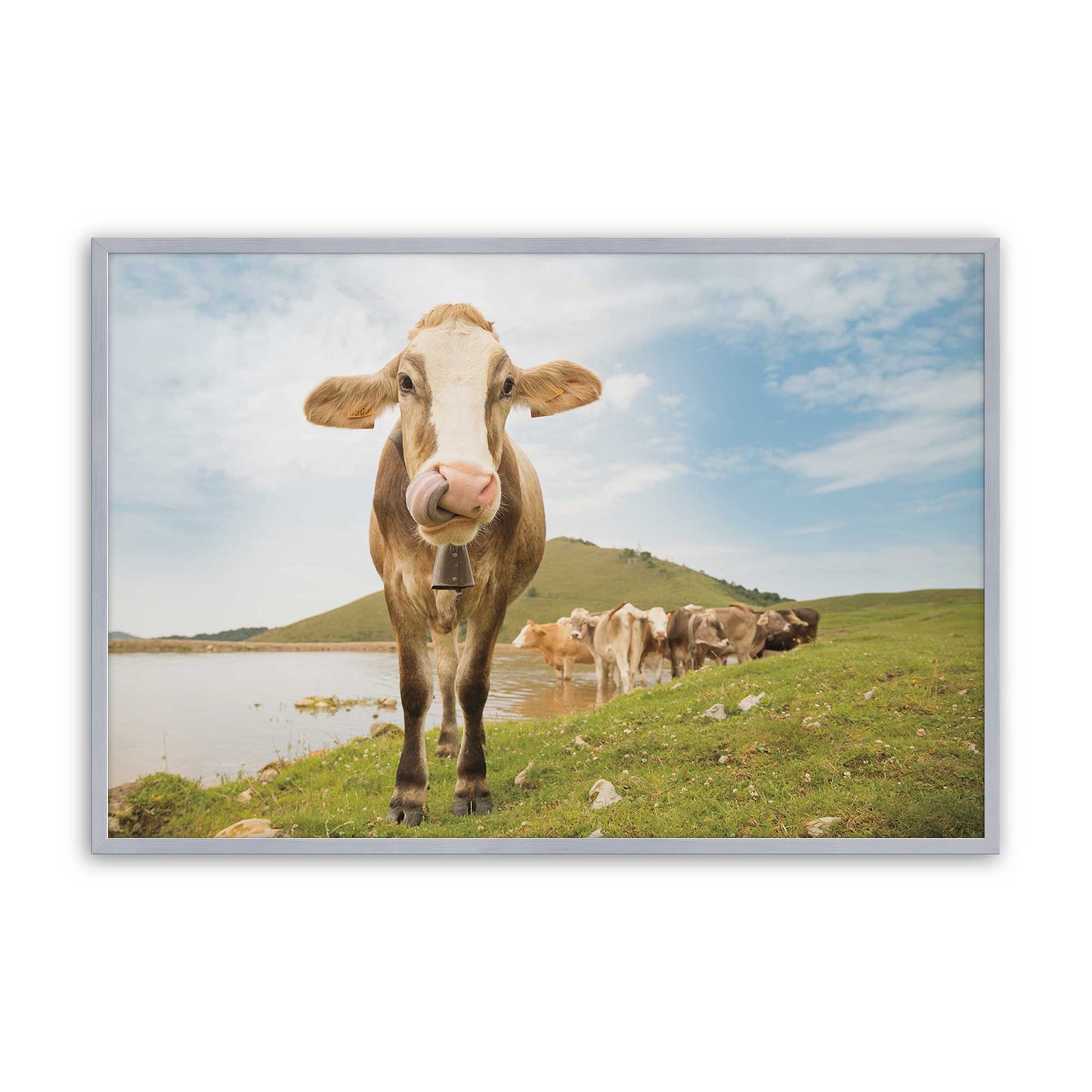 [Color:Polished Chrome], Picture of art in a Polished Chrome frame