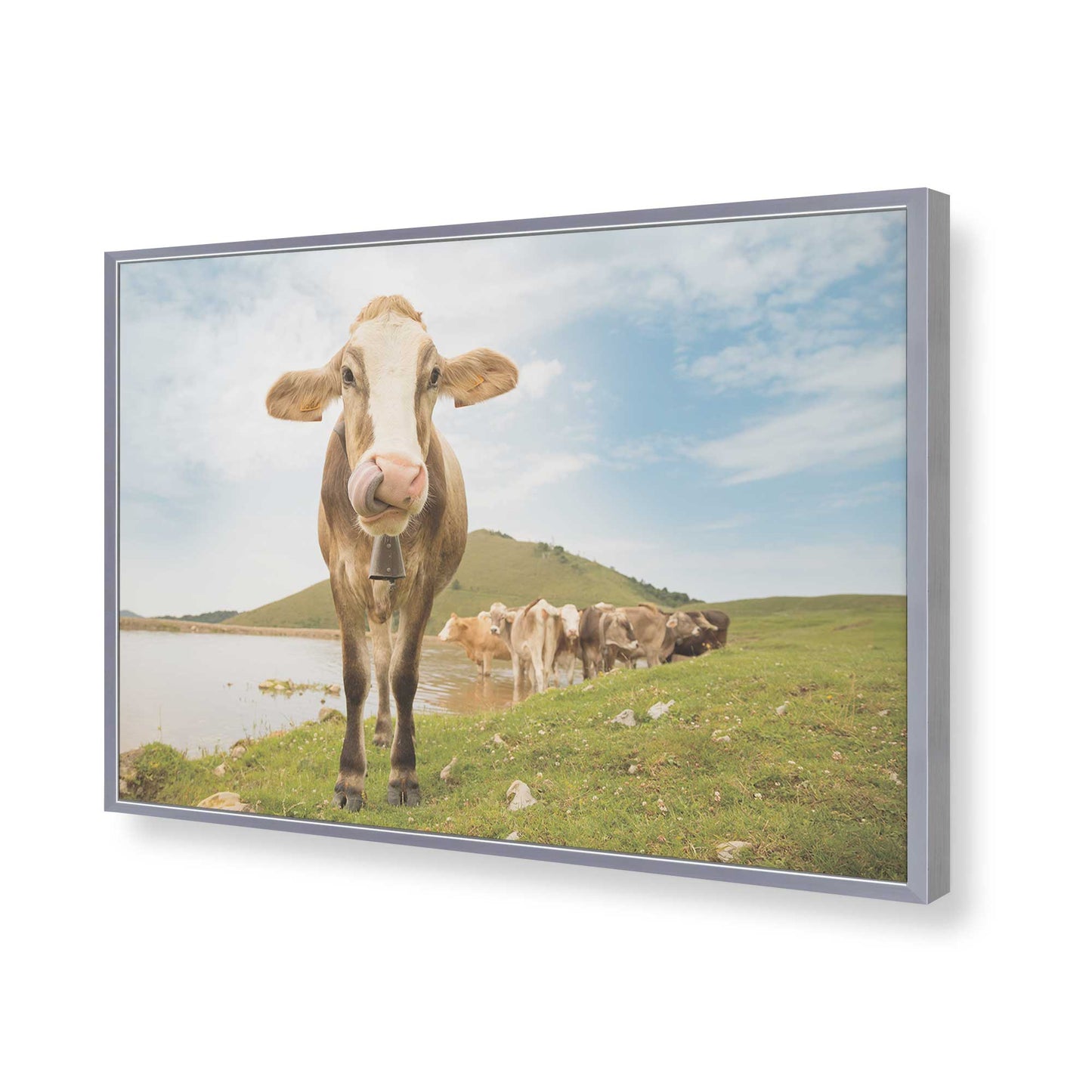 [Color:Polished Chrome], Picture of art in a Polished Chrome frame of the corner