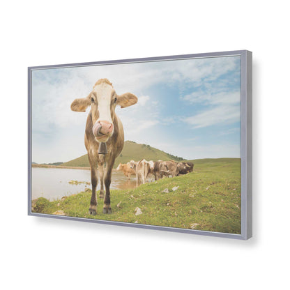 [Color:Polished Chrome], Picture of art in a Polished Chrome frame of the corner