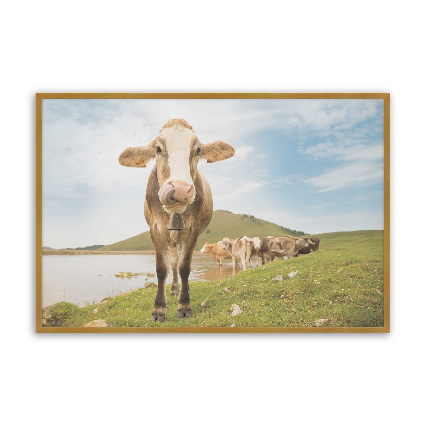 [Color:Polished Gold], Picture of art in a Polished Gold frame