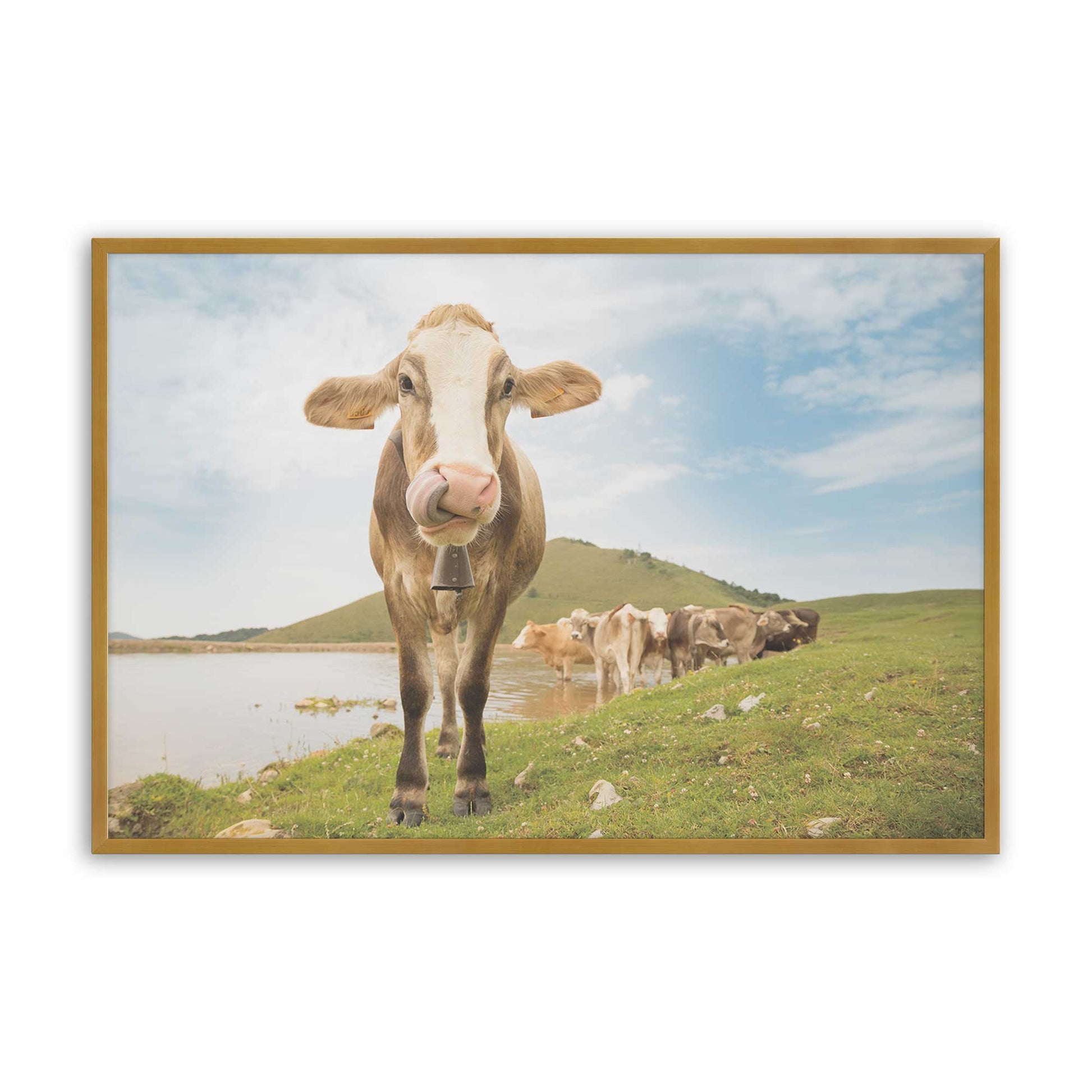[Color:Polished Gold], Picture of art in a Polished Gold frame