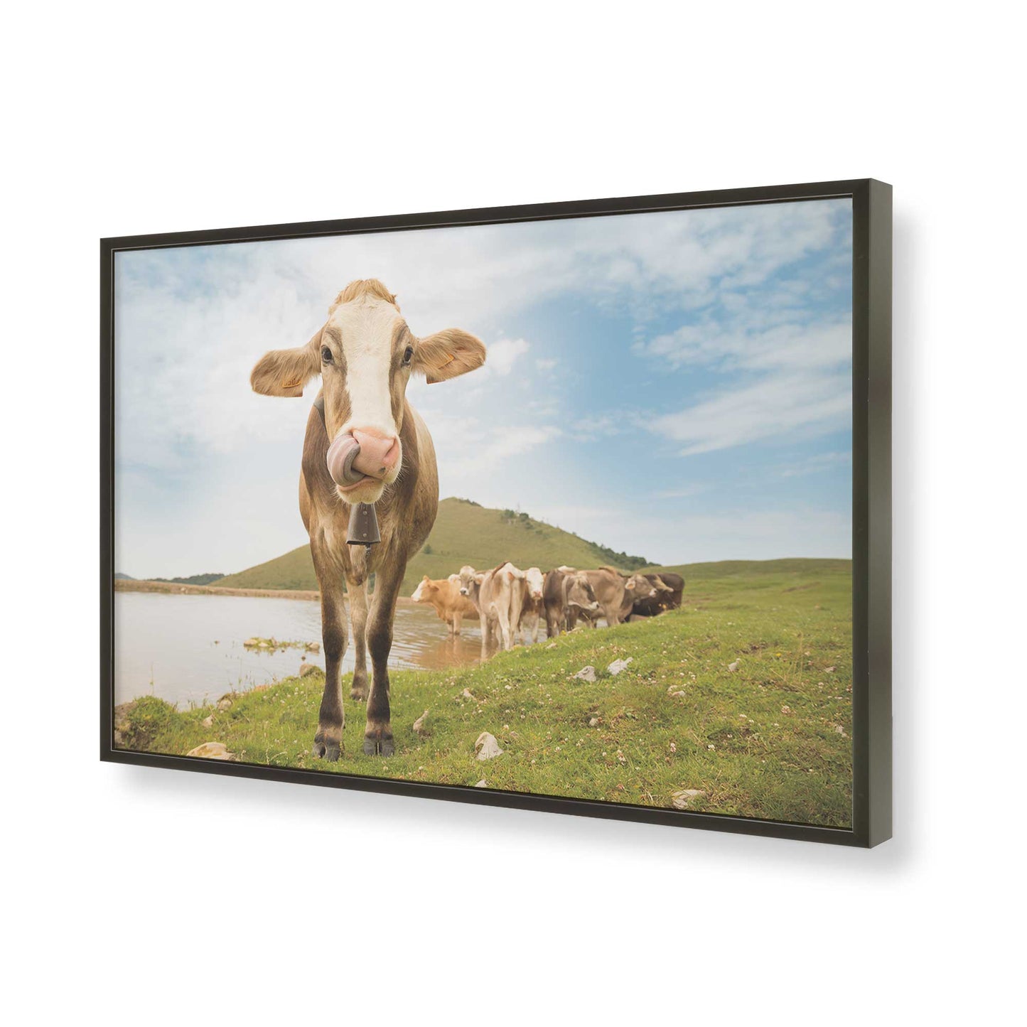[Color:Satin Black], Picture of art in a Satin Black frame of the corner