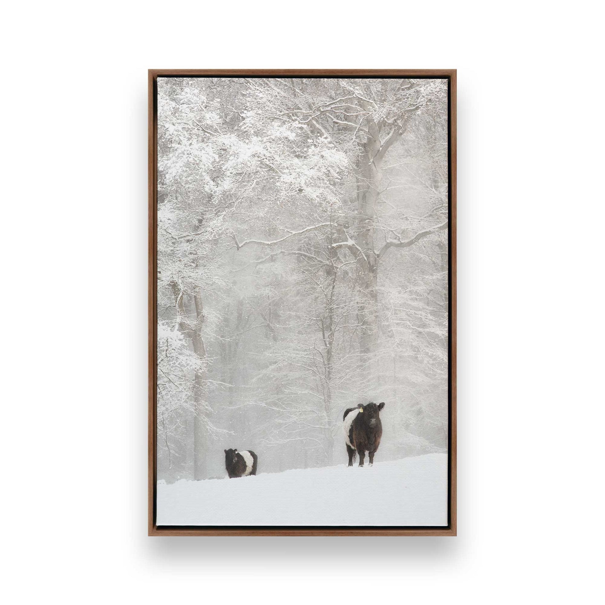 [Color:Walnut], Picture of art in a Walnut frame