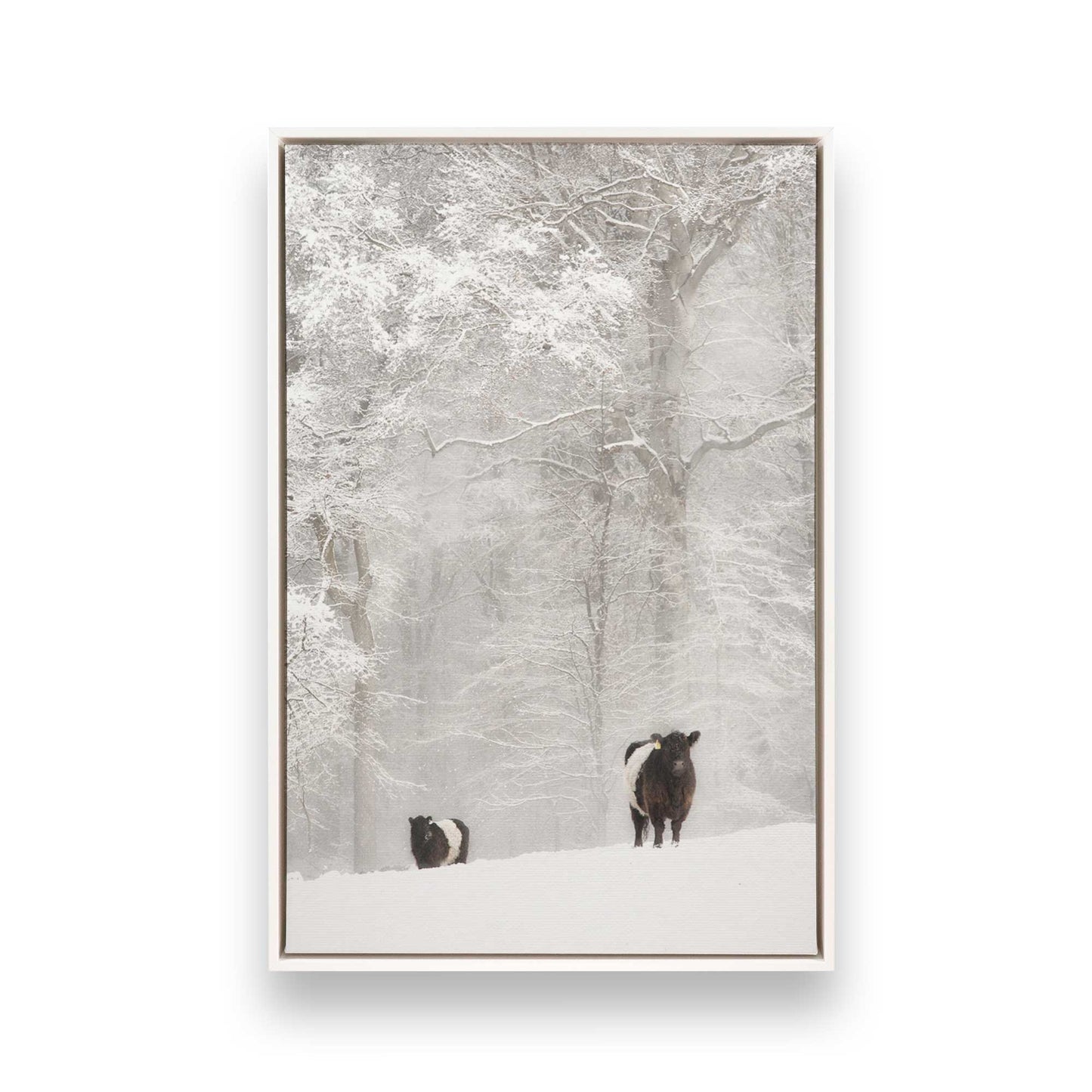 [Color:Opaque White], Picture of art in a White frame