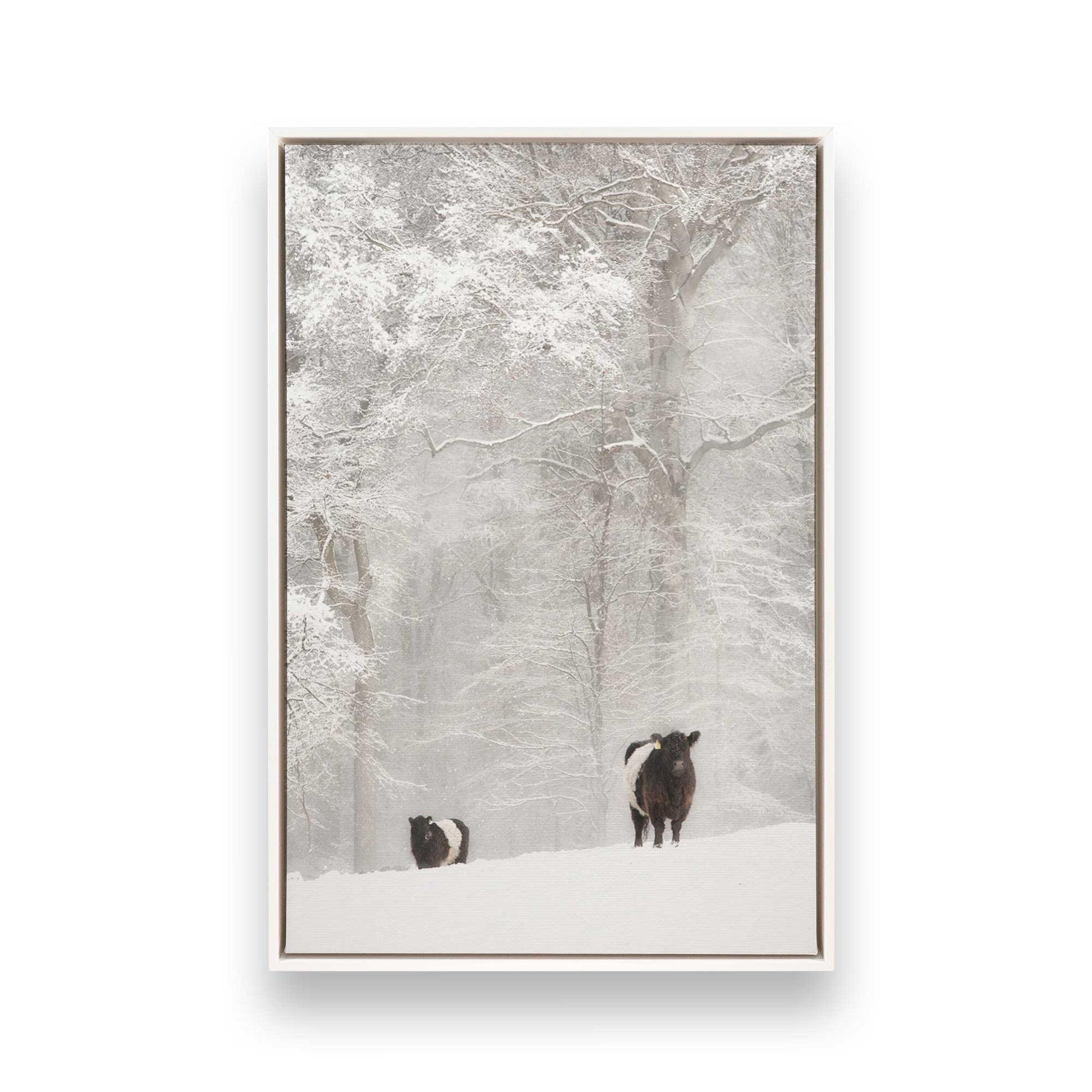 [Color:Opaque White], Picture of art in a White frame