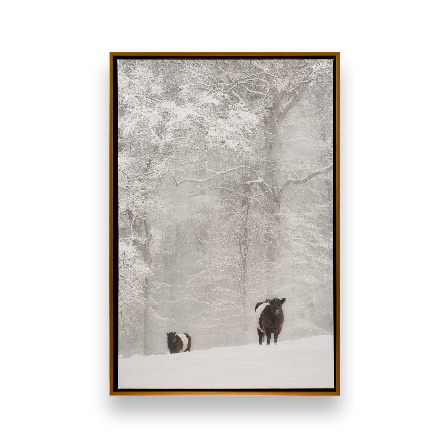 [Color:Polished Gold], Picture of art in a Polished Gold frame