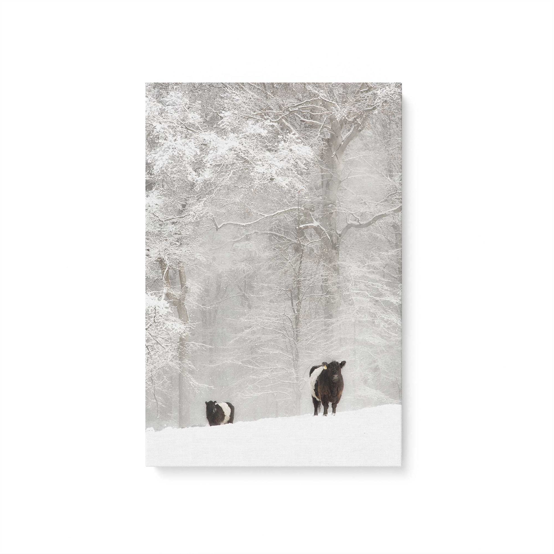 [Color:Stretched Canvas], Picture of art