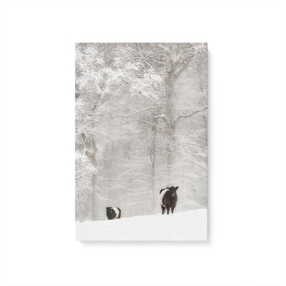 [Color:Stretched Canvas], Picture of art