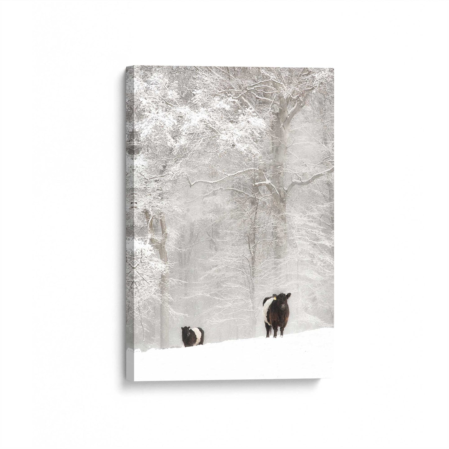 [Color:Stretched Canvas], Picture of art at an angle