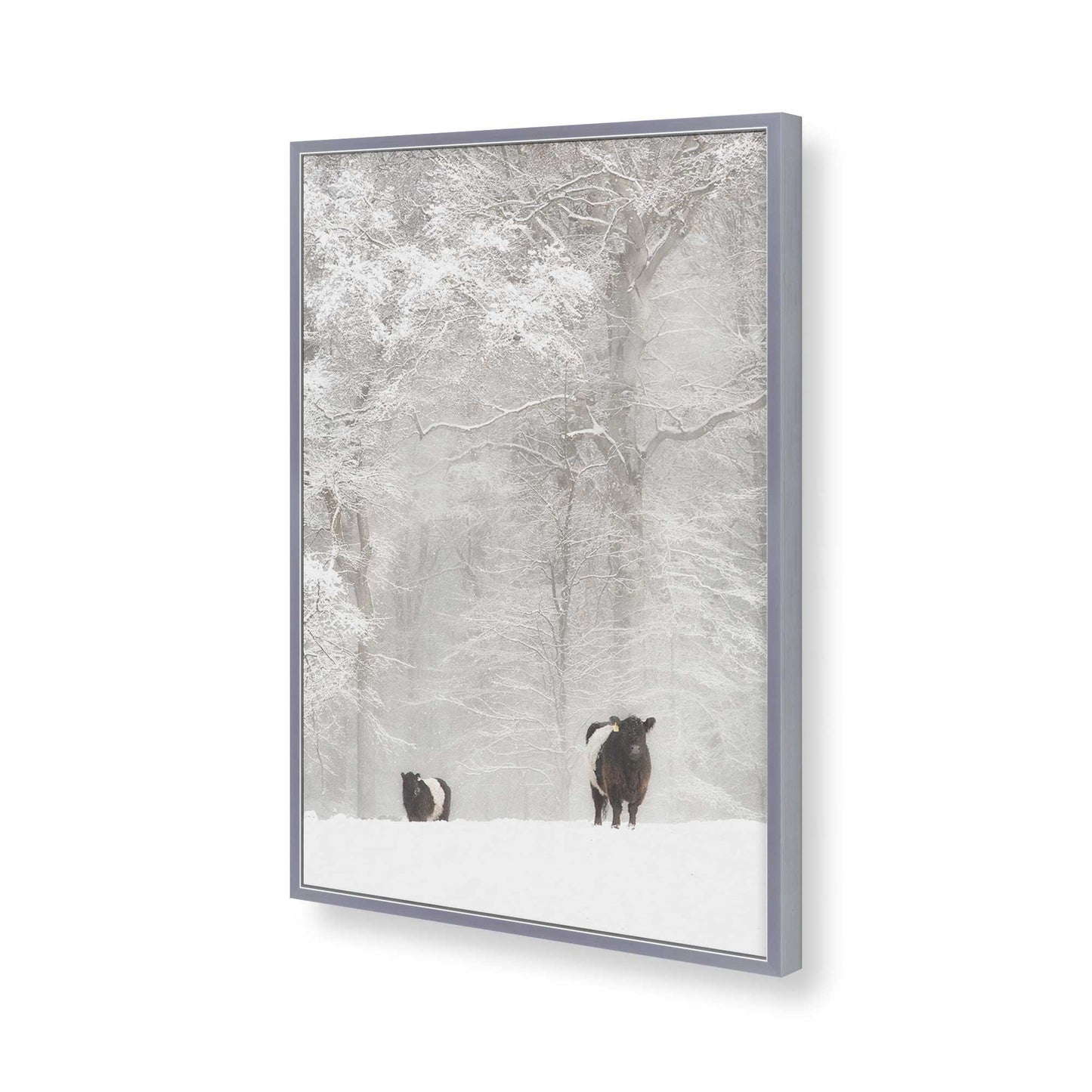 [Color:Polished Chrome], Picture of art in a Polished Chrome frame of the corner