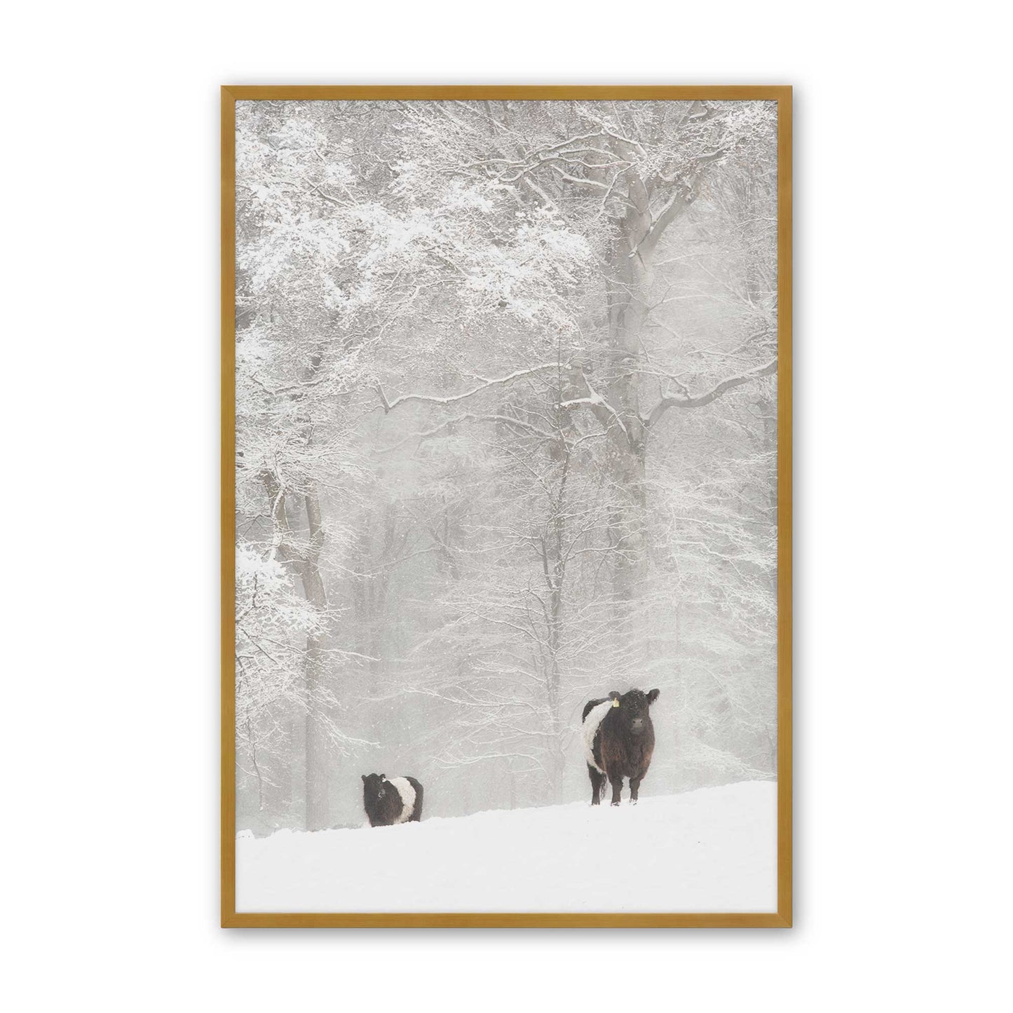 [Color:Polished Gold], Picture of art in a Polished Gold frame